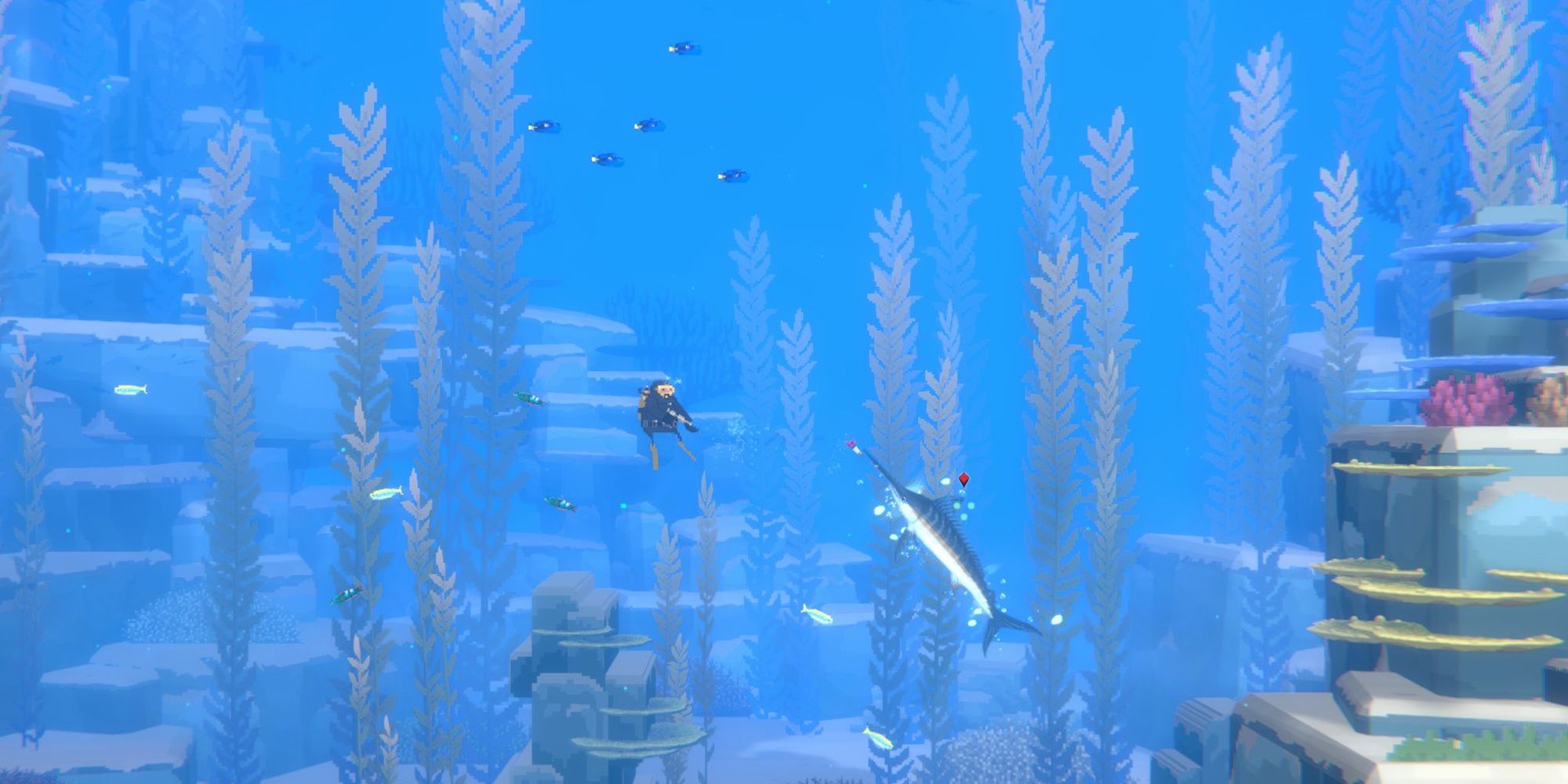 Dave The Diver: How To Catch Marlin
