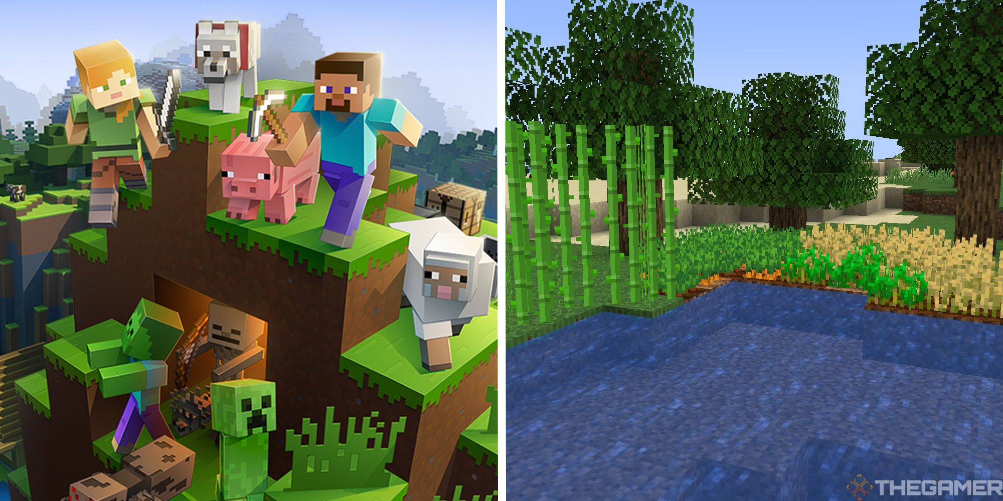 Minecraft: 7 Best Crops To Grow Close To Home