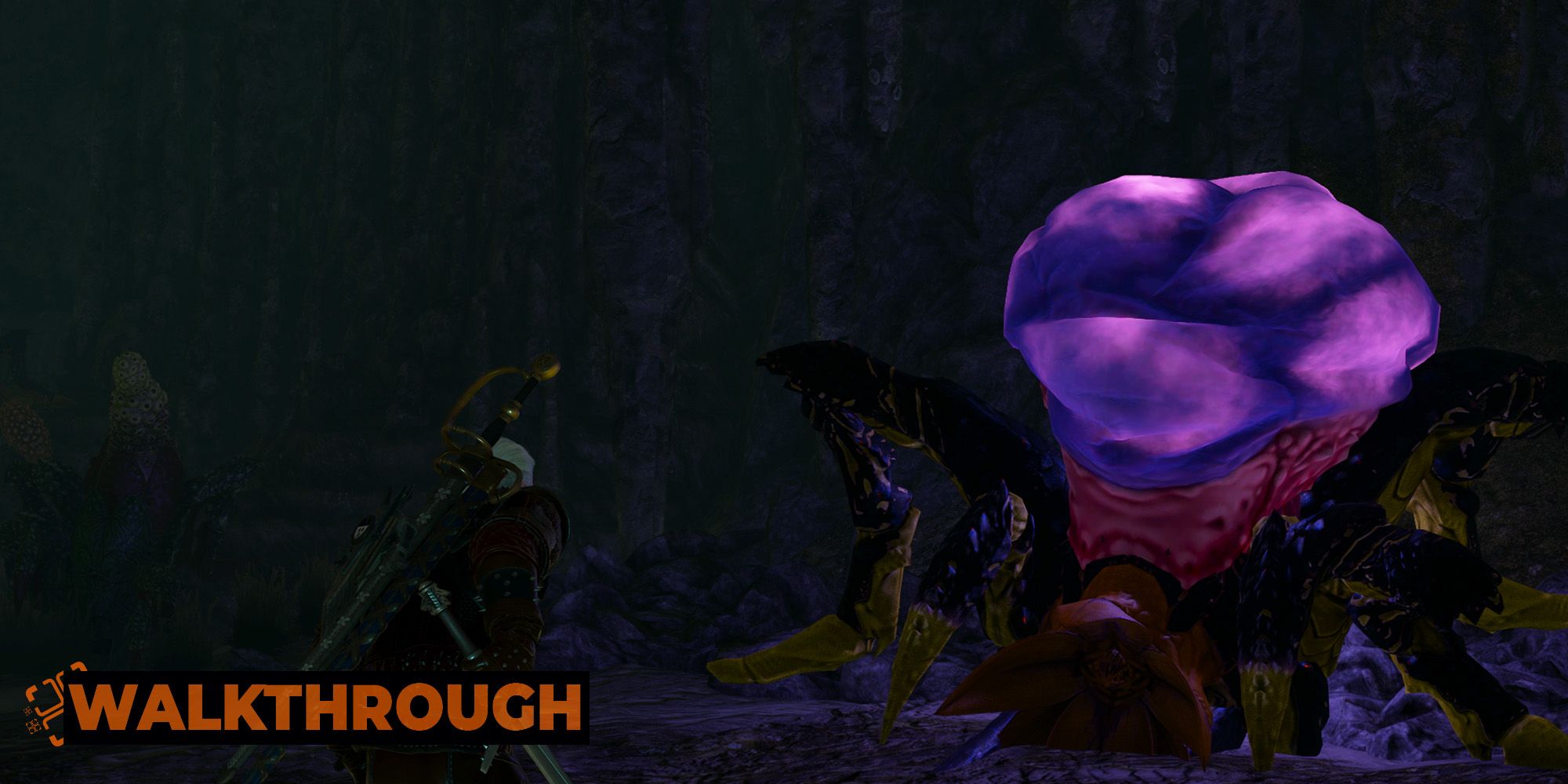 The Witcher 3 - Treasure Hunt: Hidden In The Depths Side Quest Walkthrough