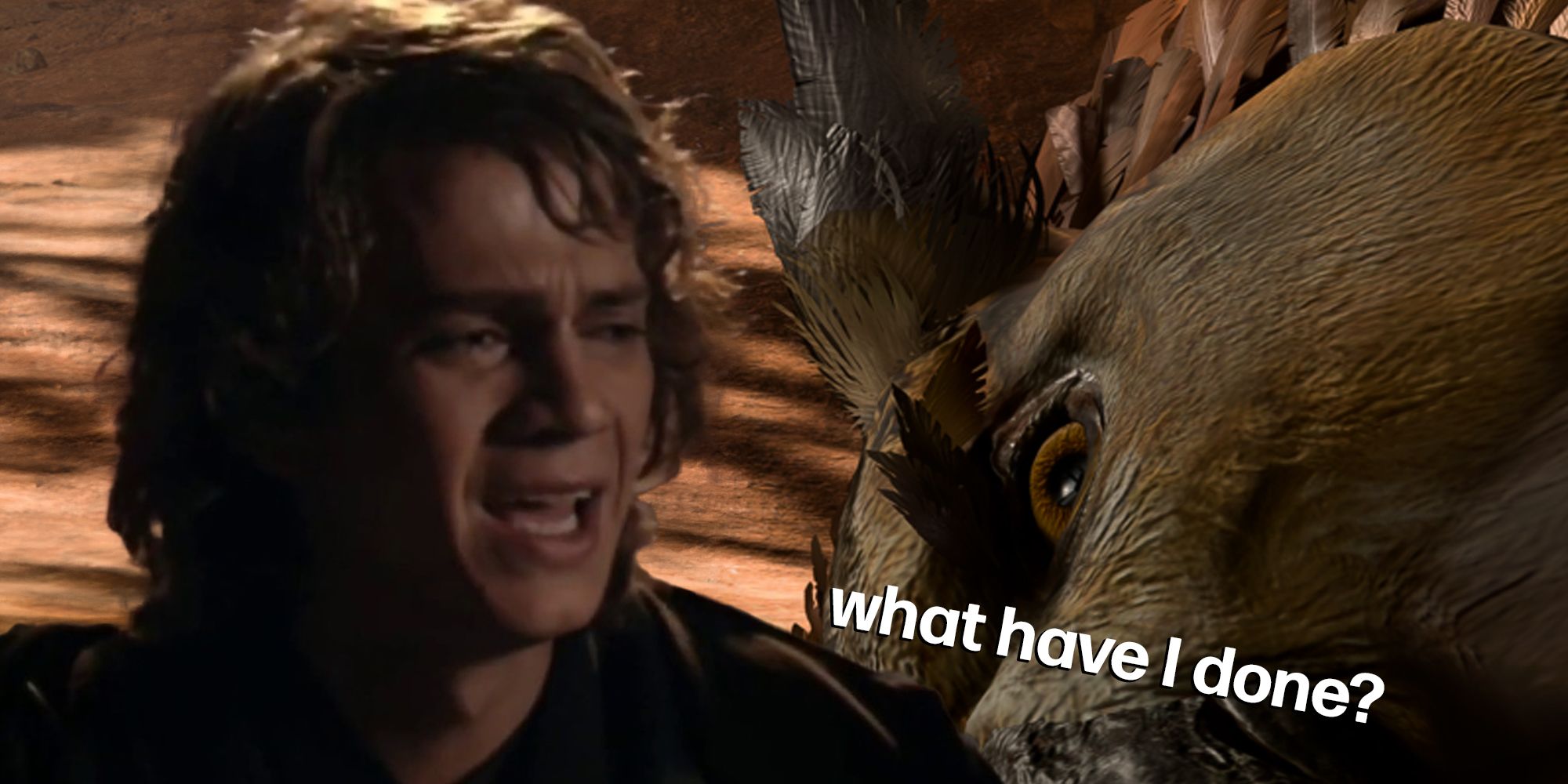 I Killed An Owlbear Cub In Baldur’s Gate 3 And I Hate Myself