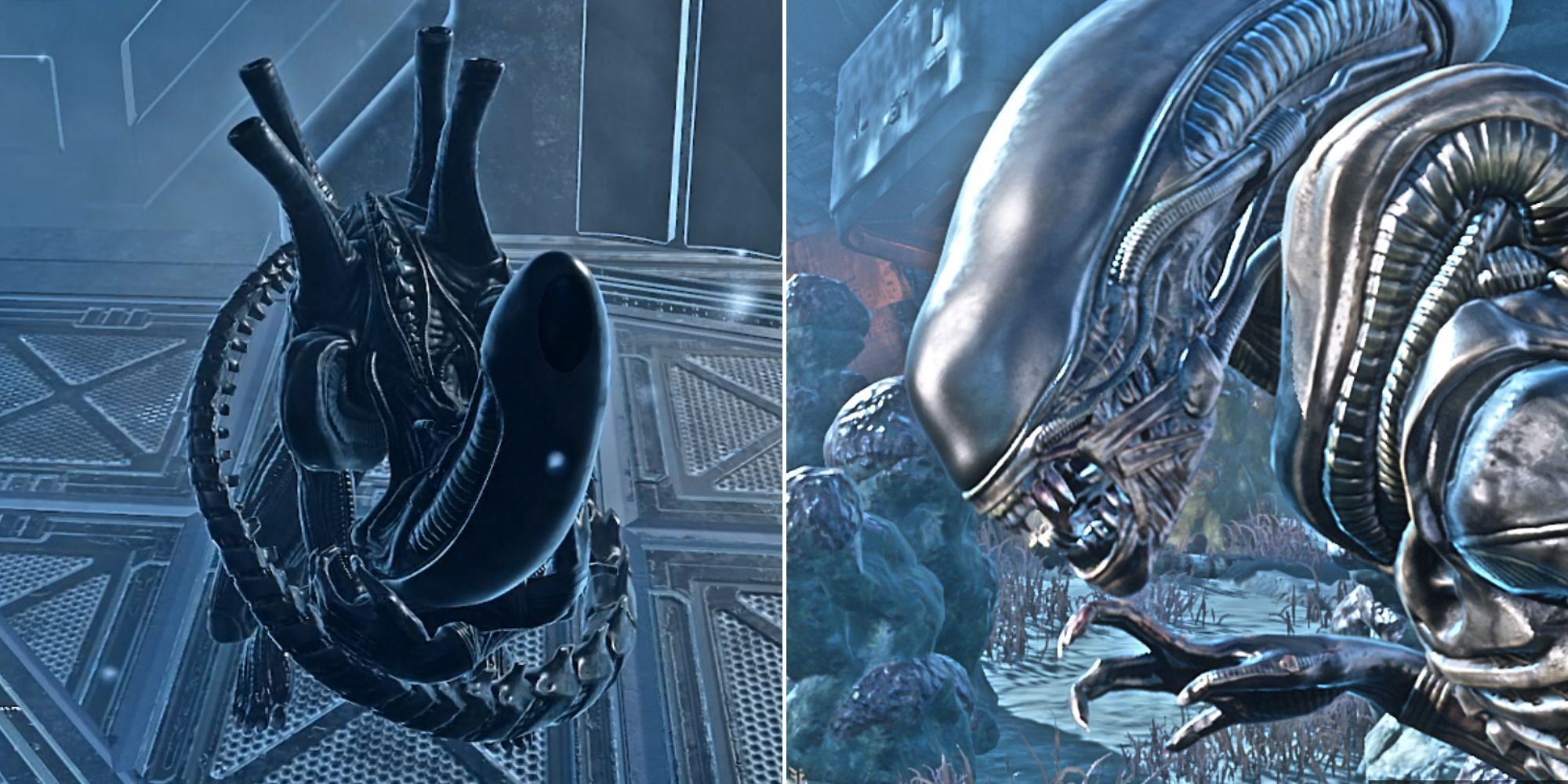 Dead By Daylight: Best Builds For The Xenomorph