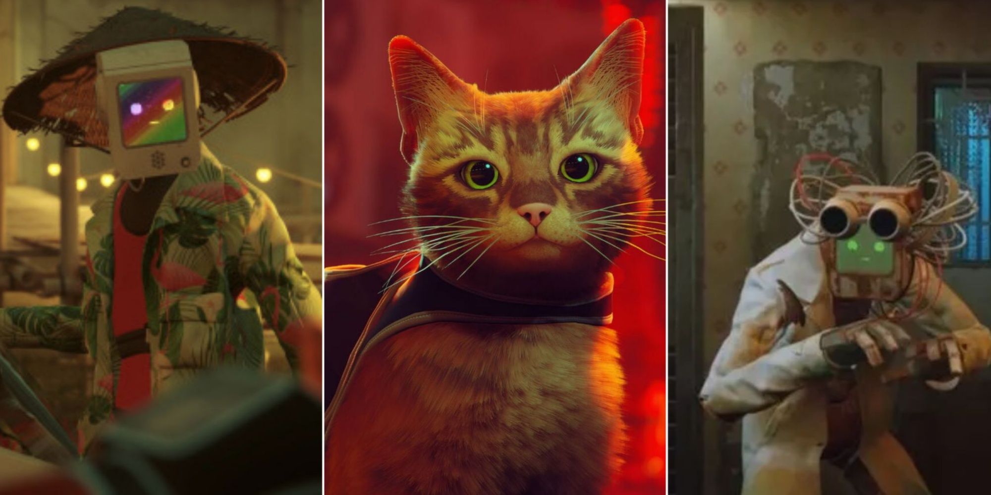 Stray: 10 Best Characters