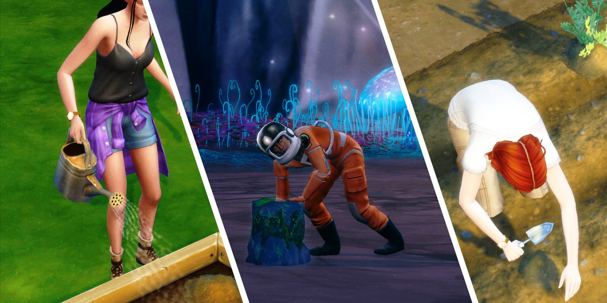 The Sims 4: How To Get Every Uncommon Plant