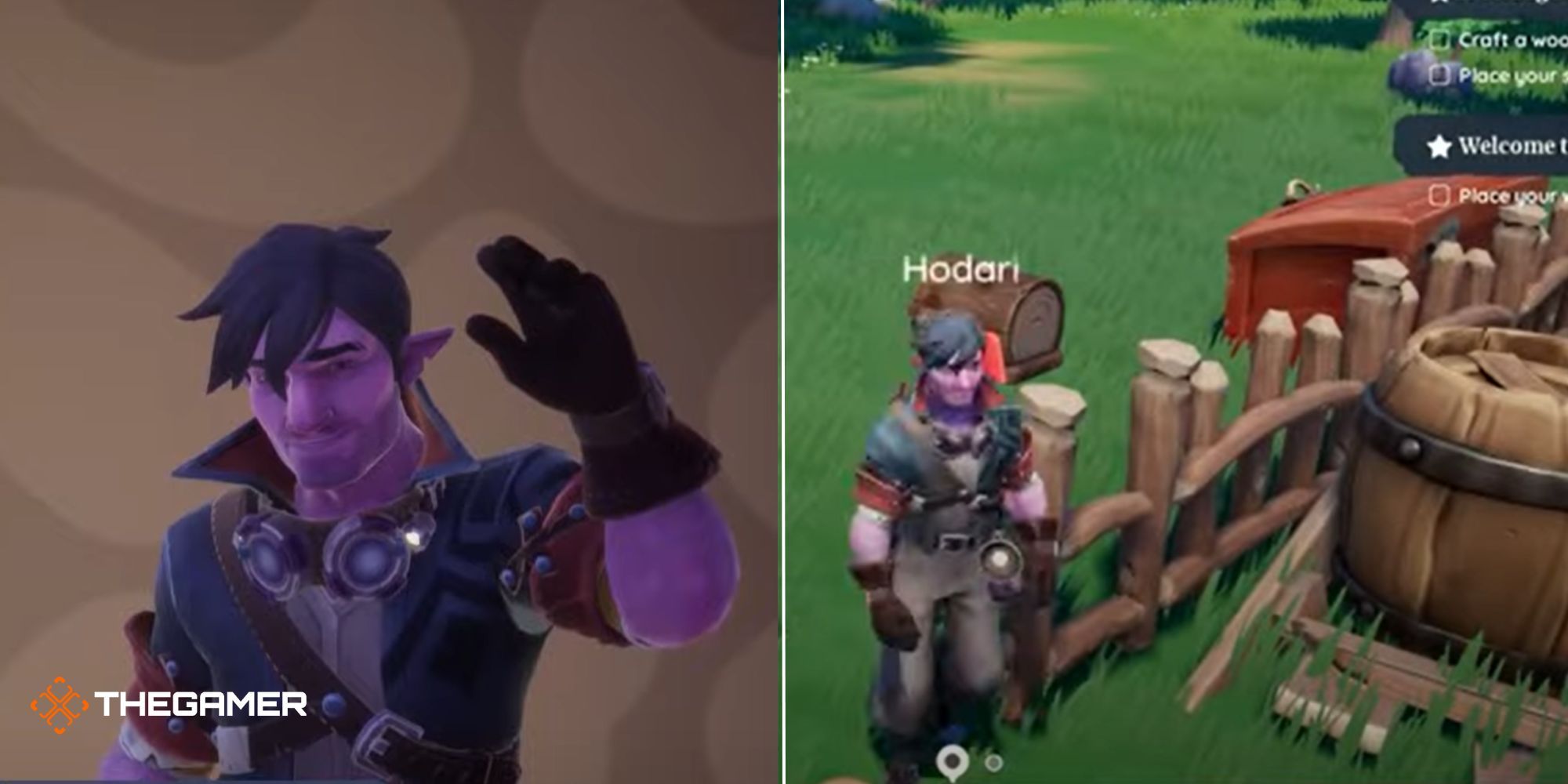 Palia: Hodari Character Guide