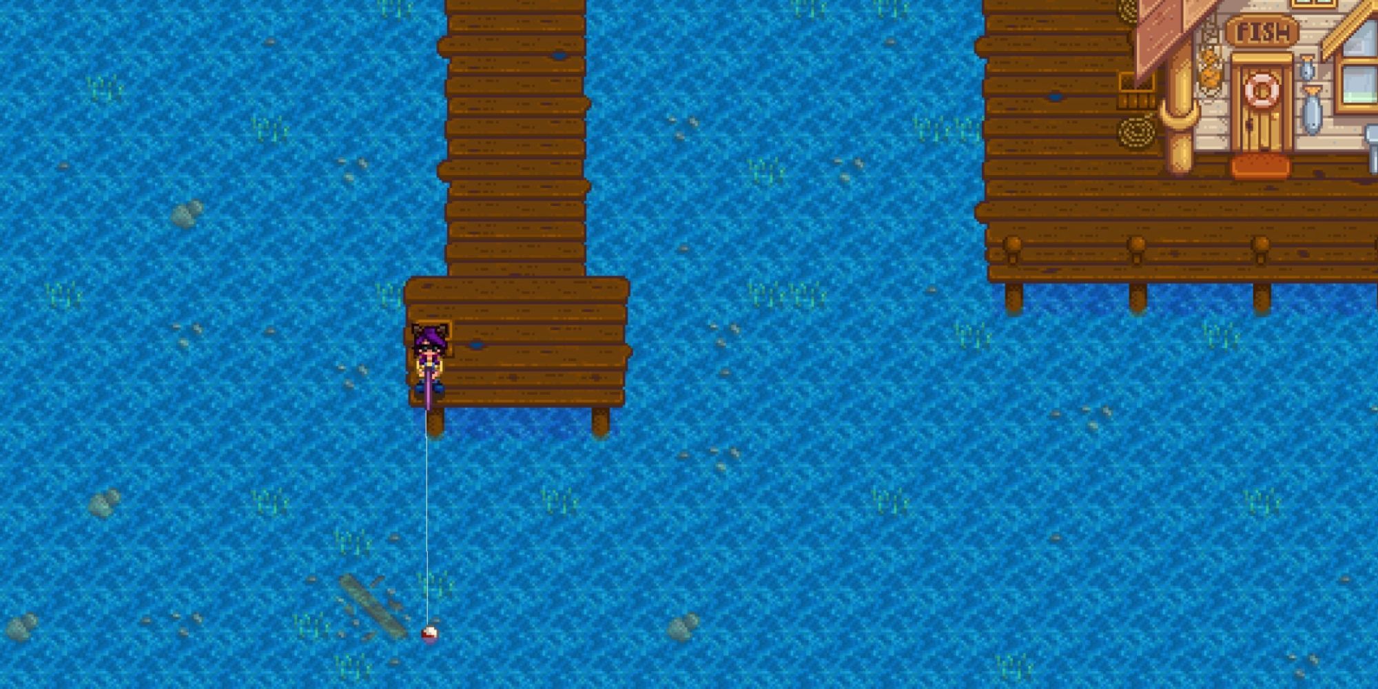 Stardew Valley: 13 Hardest Fish To Catch