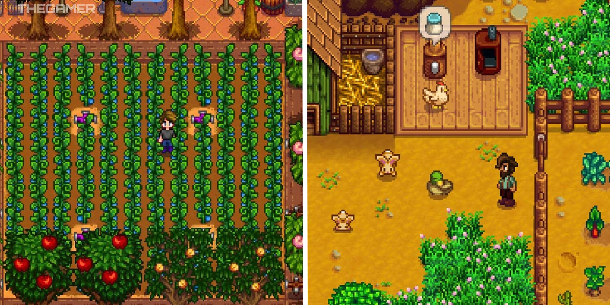 14 Things We Wish We Knew Before We Started Stardew Valley
