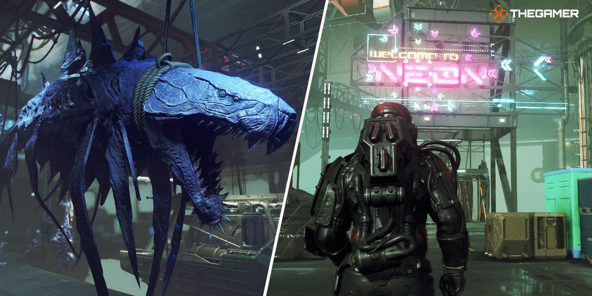 Starfield: Neon Survey Guide