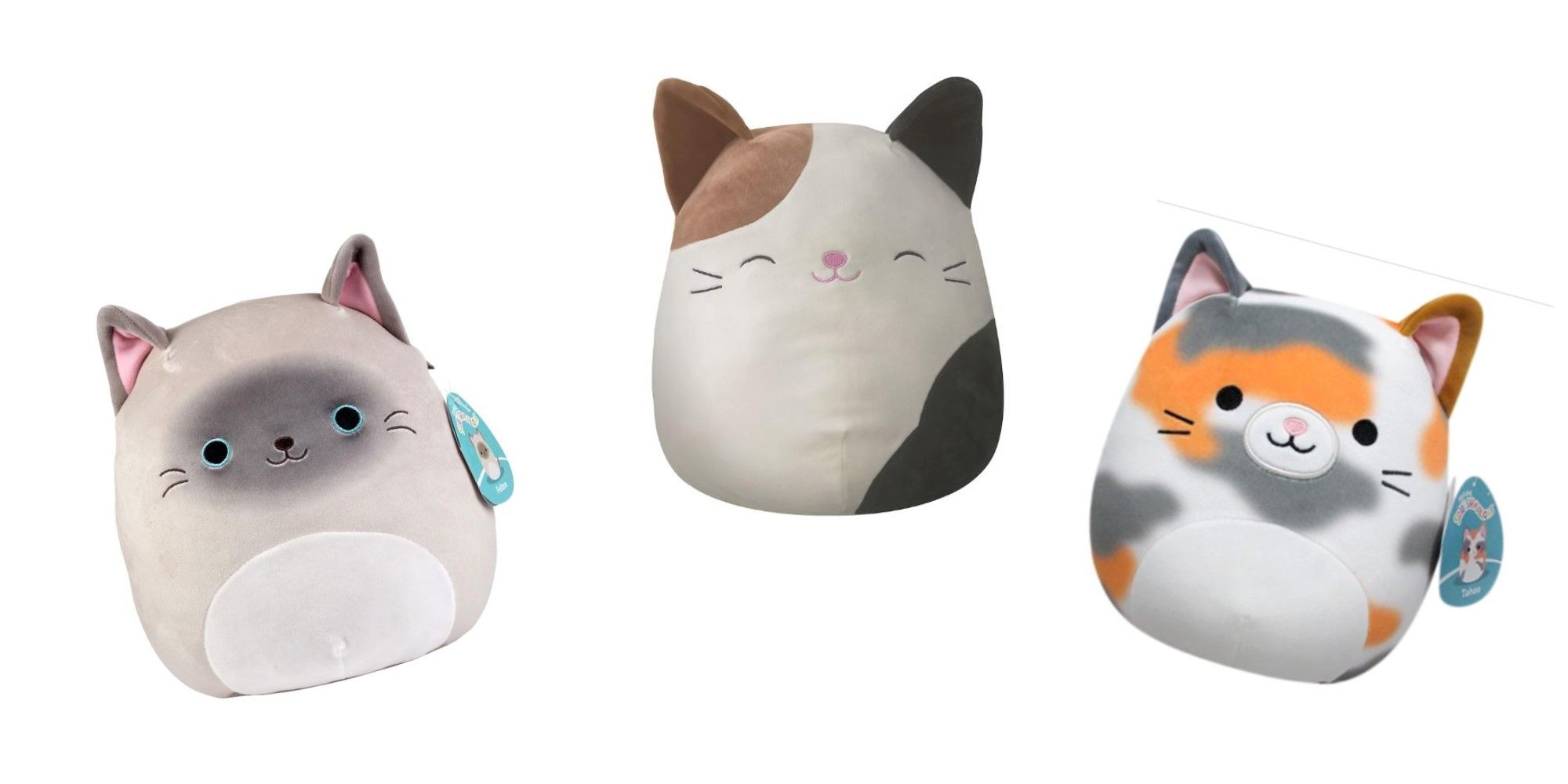Best Cat Squishmallows In 2024