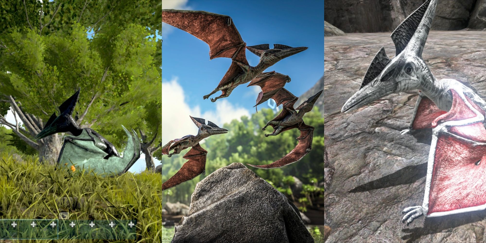 Ark: Survival Evolved - How To Tame a Pteranodon