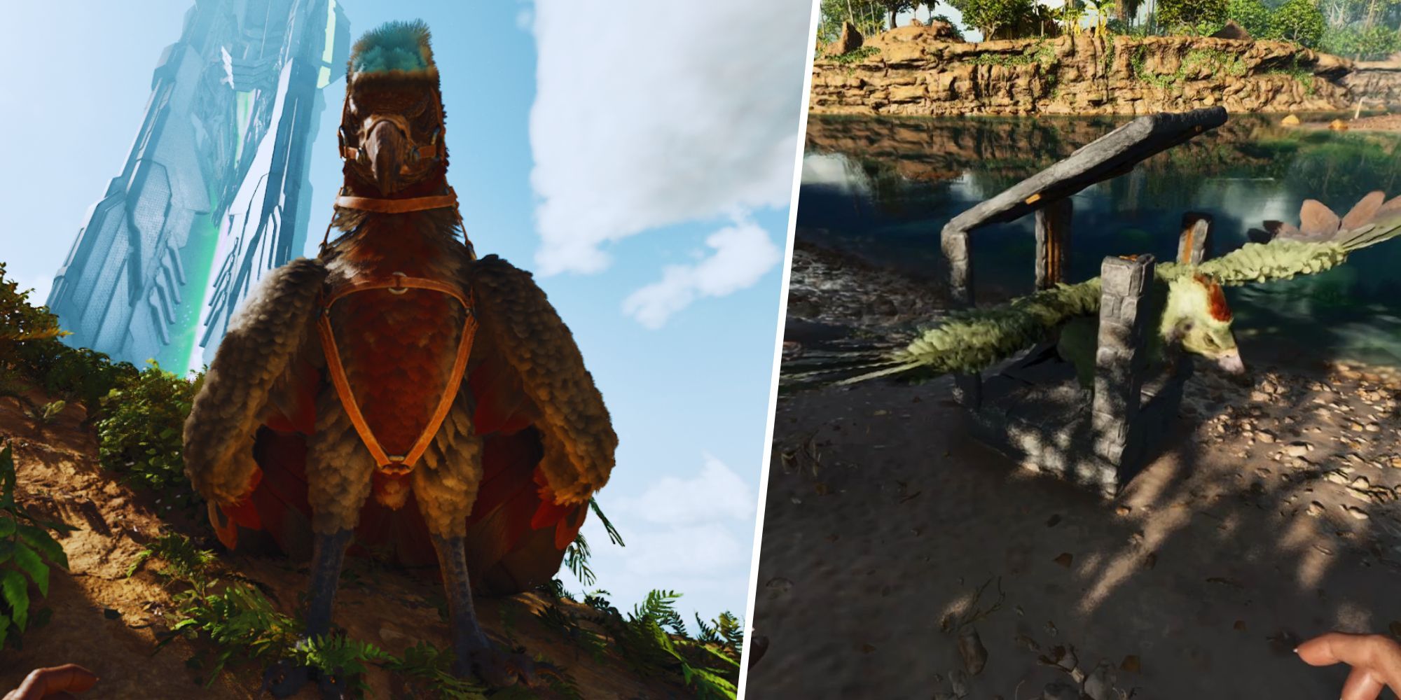 Ark: Survival Ascended - How To Tame Argentavis