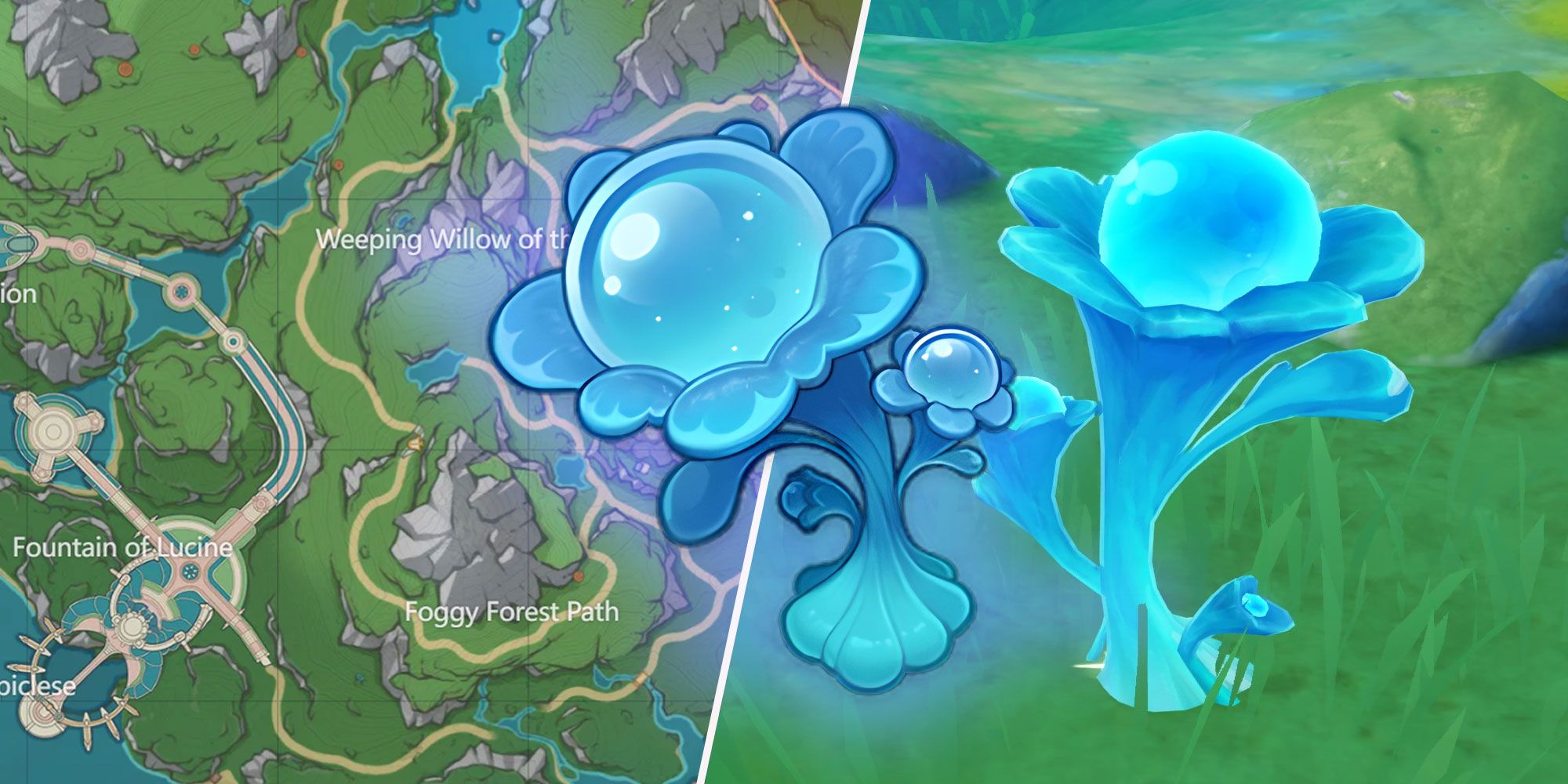 Genshin Impact: All Lakelight Lily Locations