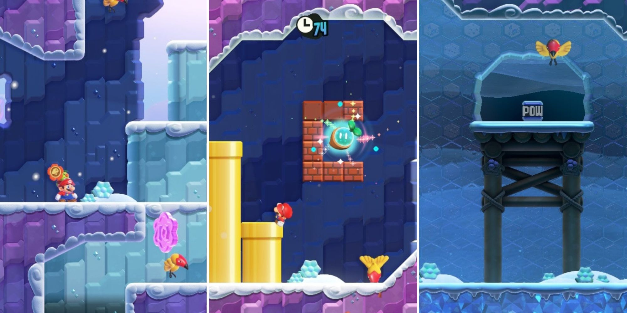 Super Mario Bros. Wonder: All Flower Coins And Wonder Seeds In Condarts Away