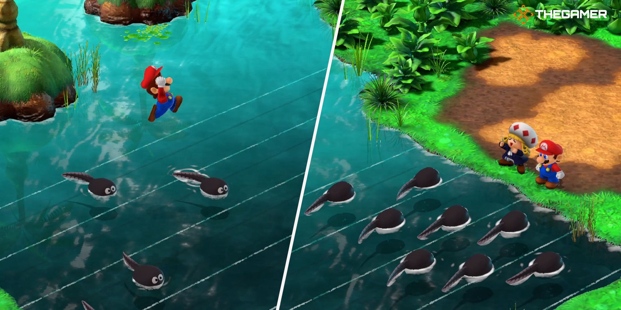 Super Mario RPG: Toadofsky Puzzle Song Solution Guide