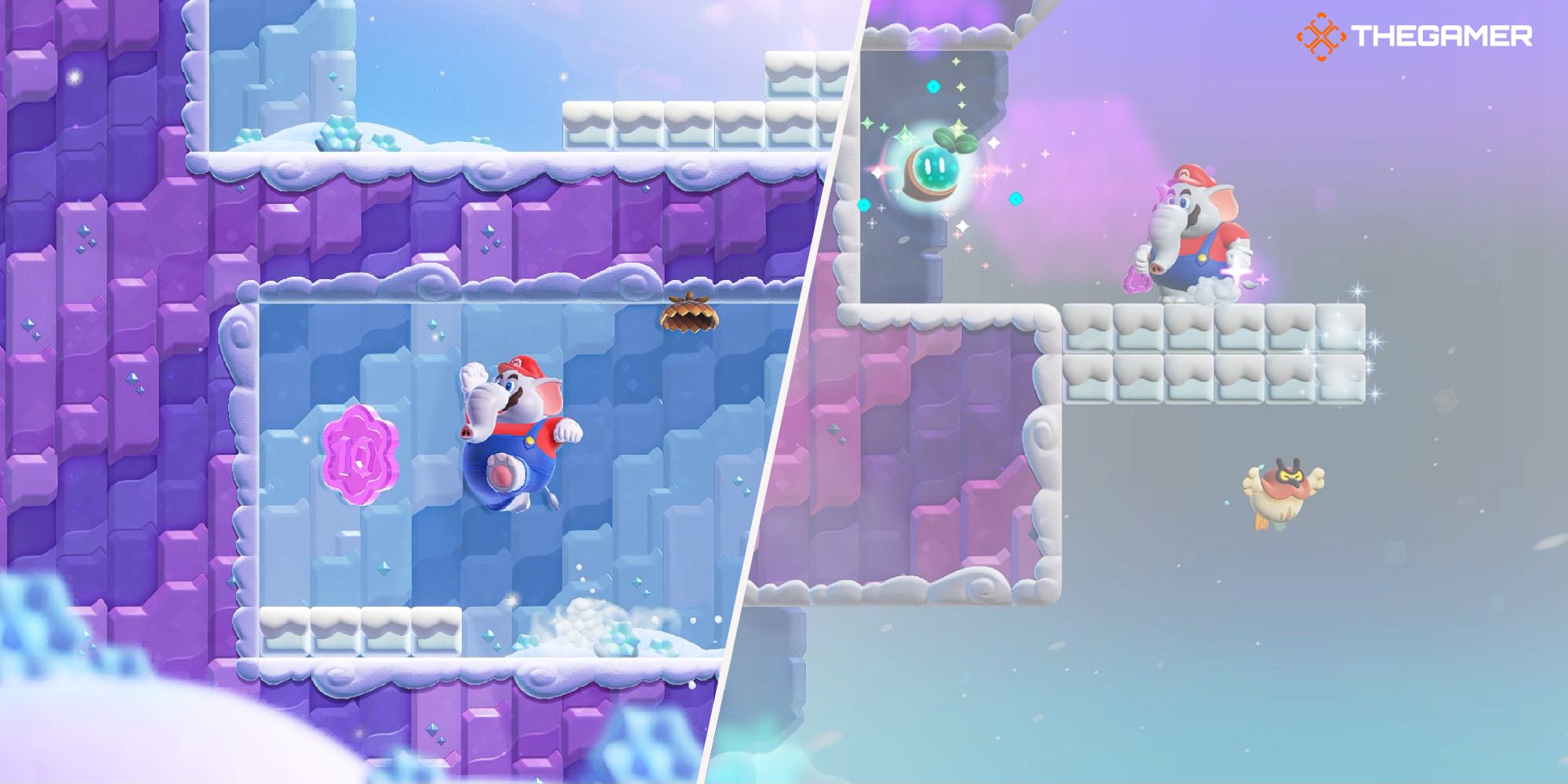 Super Mario Bros. Wonder: All Flower Coins And Wonder Seeds In Pokipede Pass