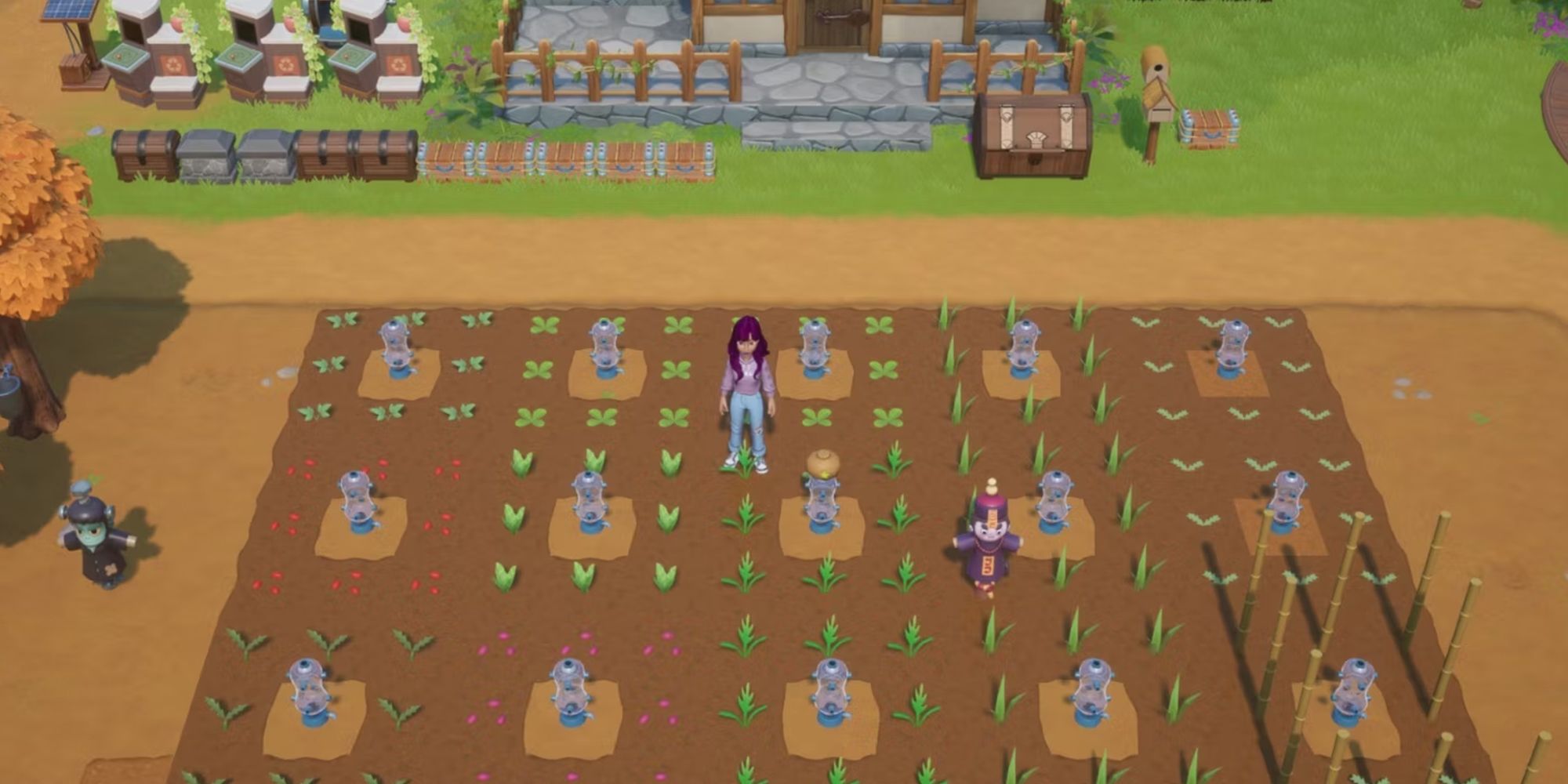 Coral Island: How To Rearrange Your Farm