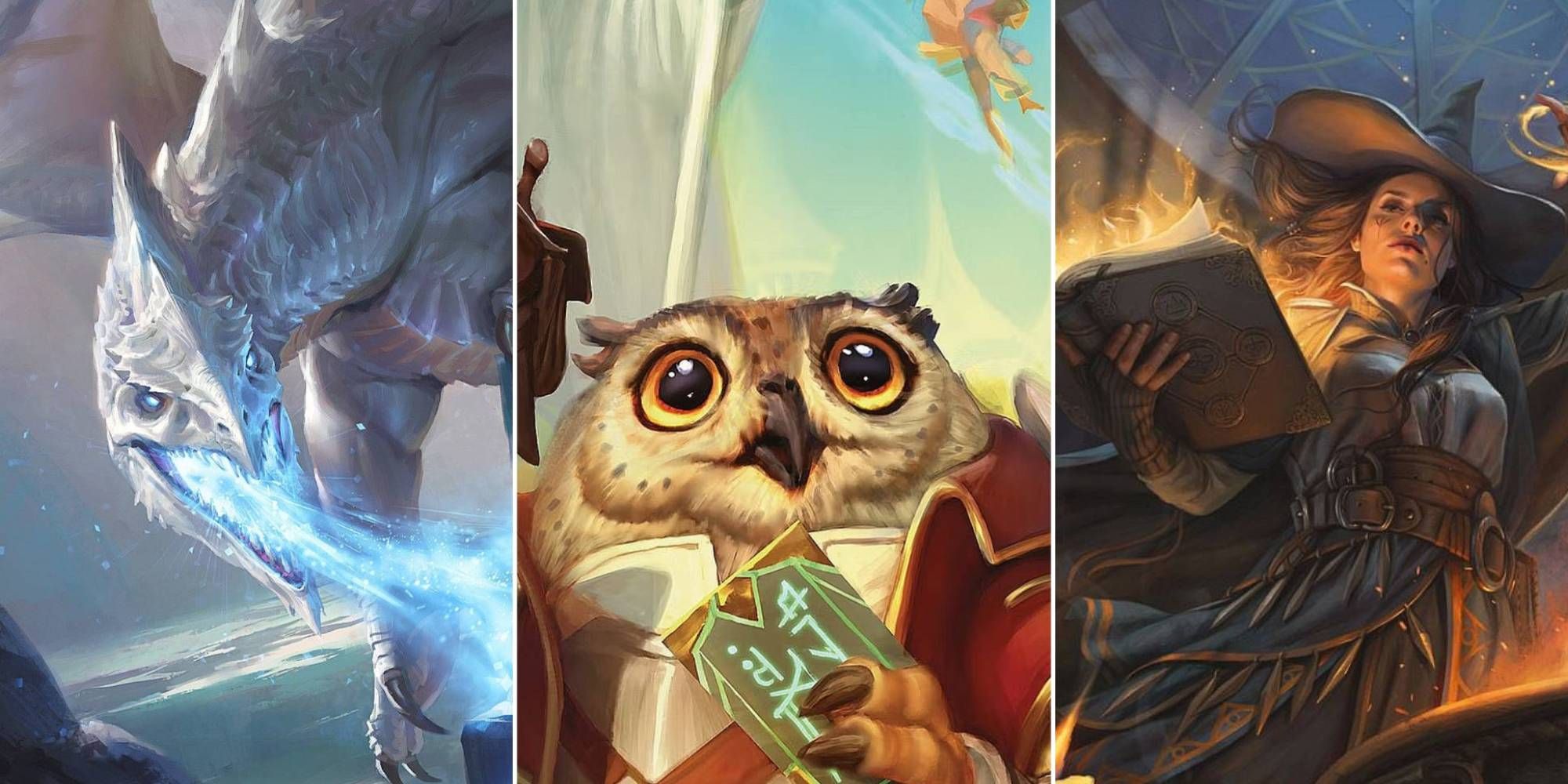 Dungeons & Dragons: 10 Best Homebrew Subclasses