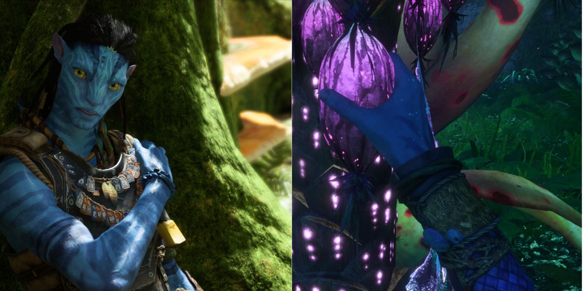 Avatar: Frontiers Of Pandora - How To Unlock And Use Na'vi Senses