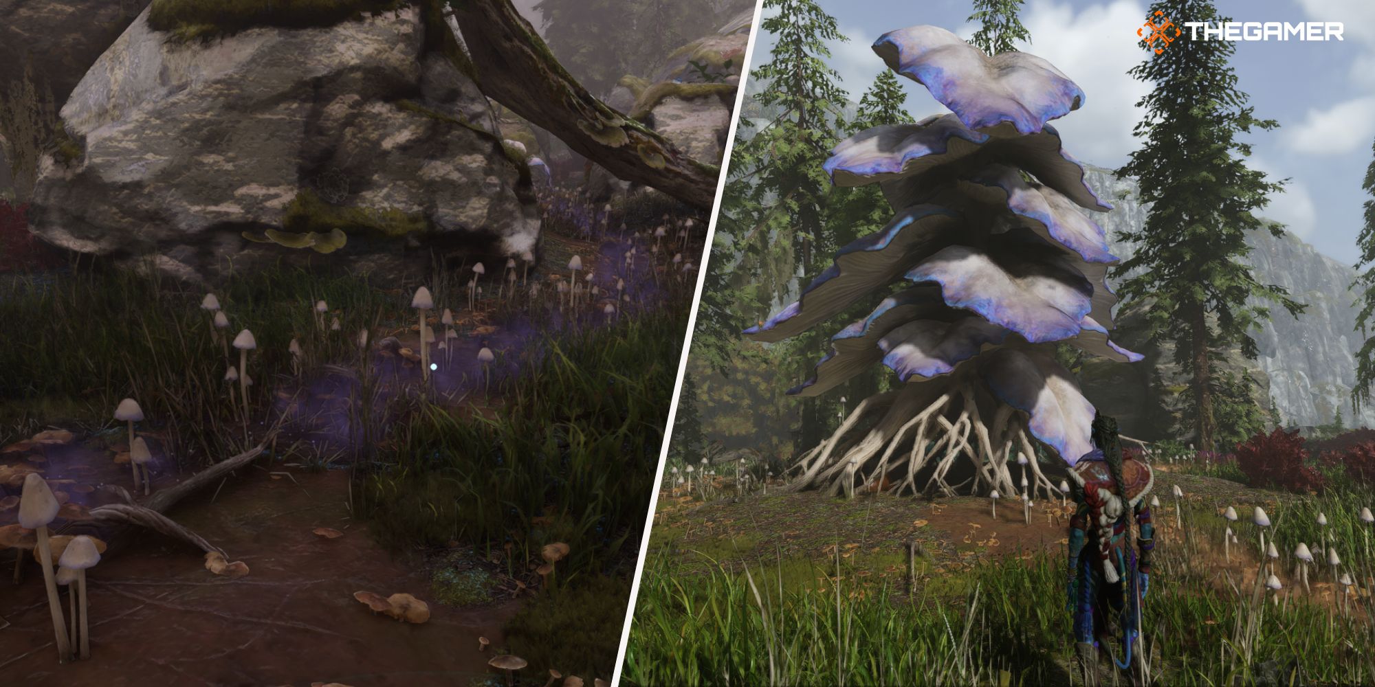 Avatar: Frontiers Of Pandora - All Budding Watcher Locations