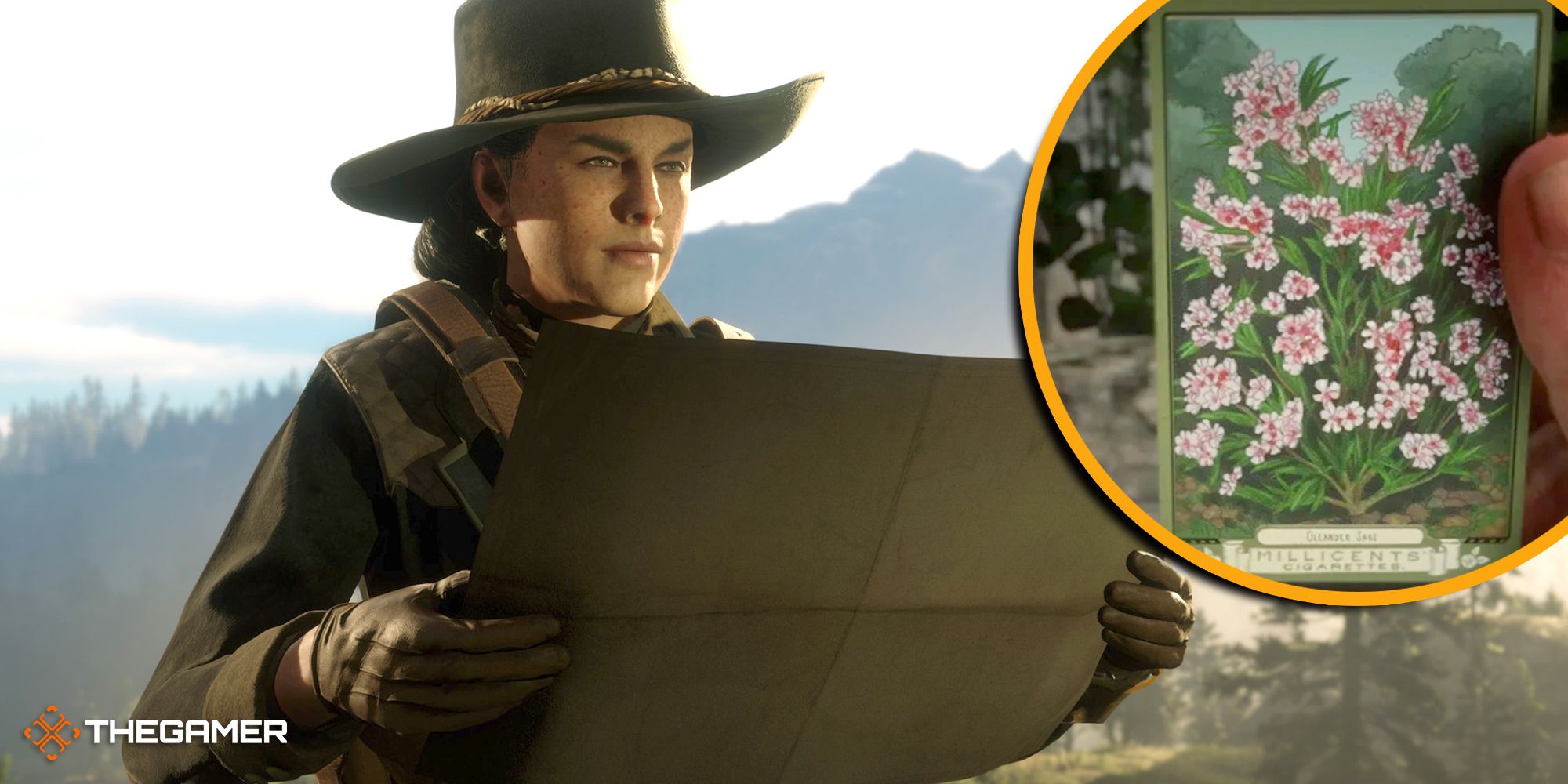 Red Dead Online: Best Oleander Sage Locations
