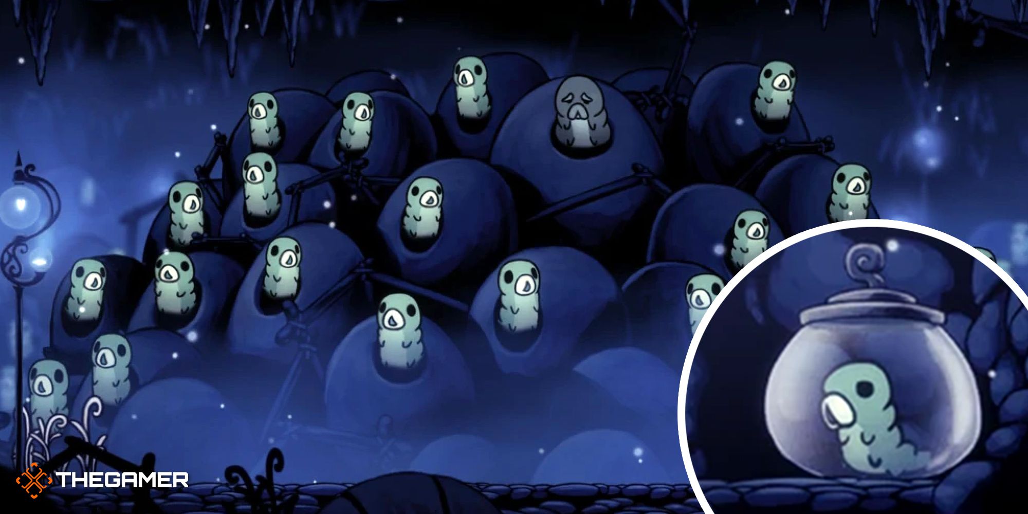Hollow Knight: All Grub Locations