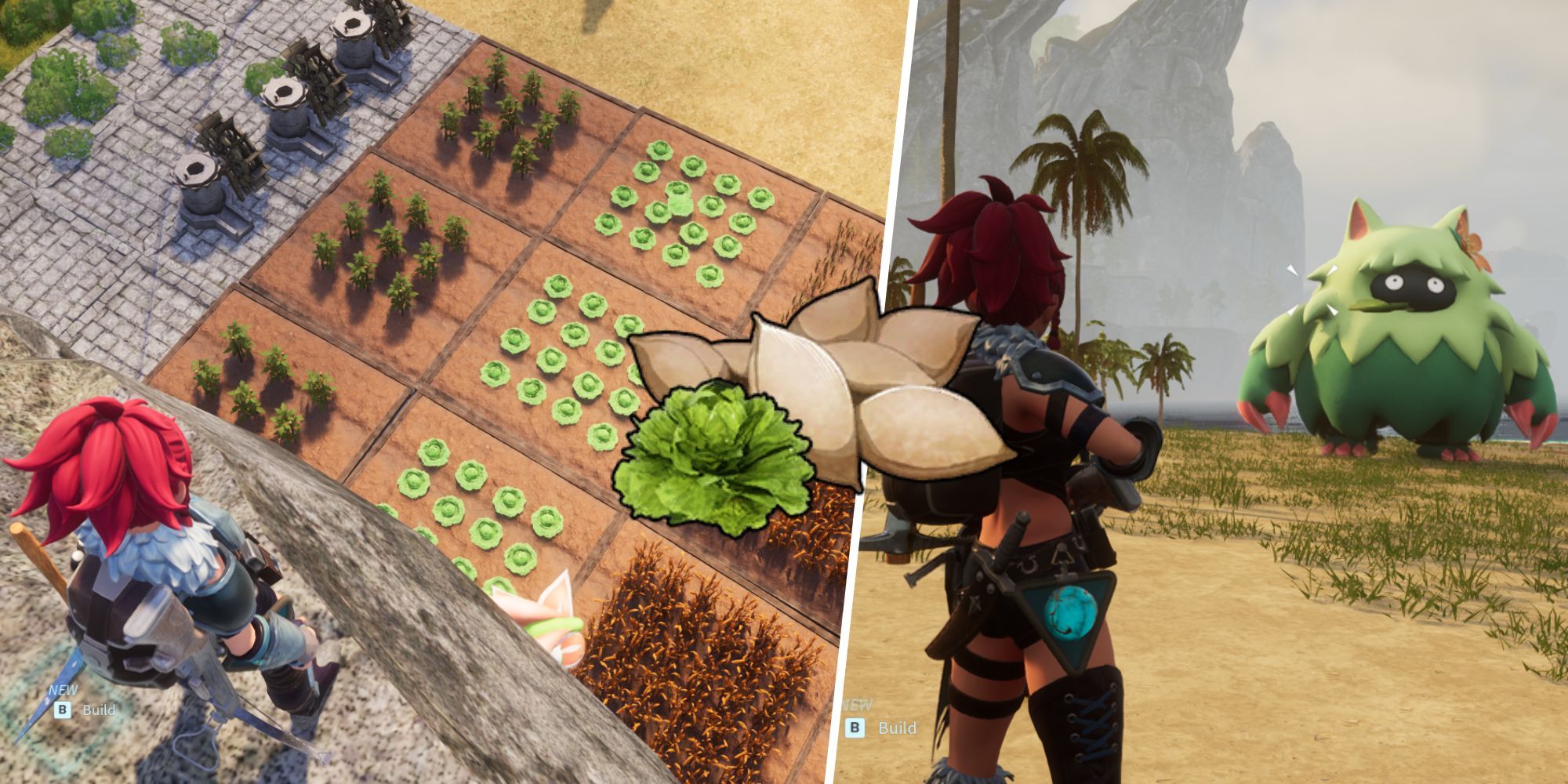 Palworld: How To Get Lettuce Seeds