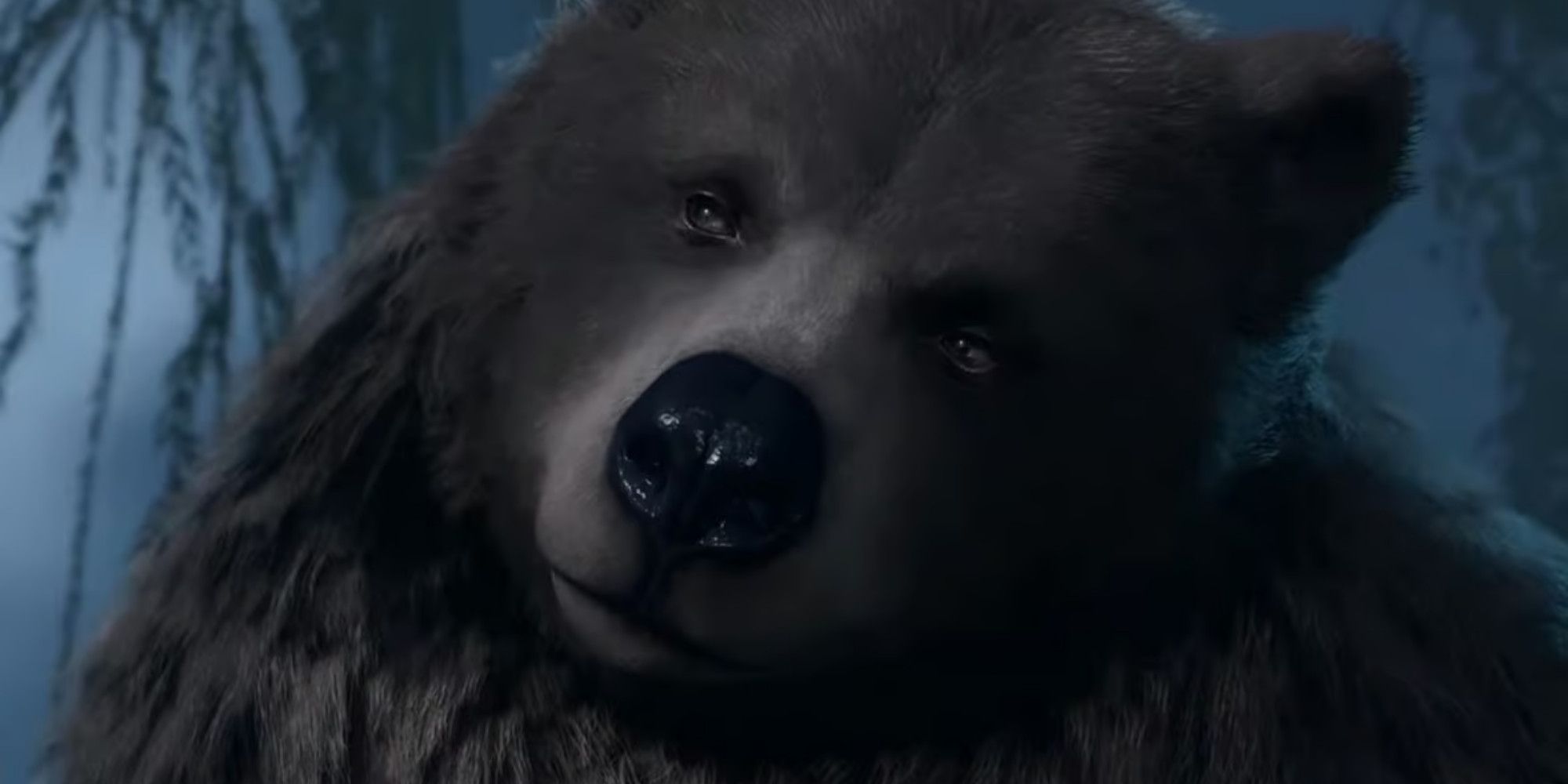 Baldur's Gate 3 Player One Shots Grym With A Bear
