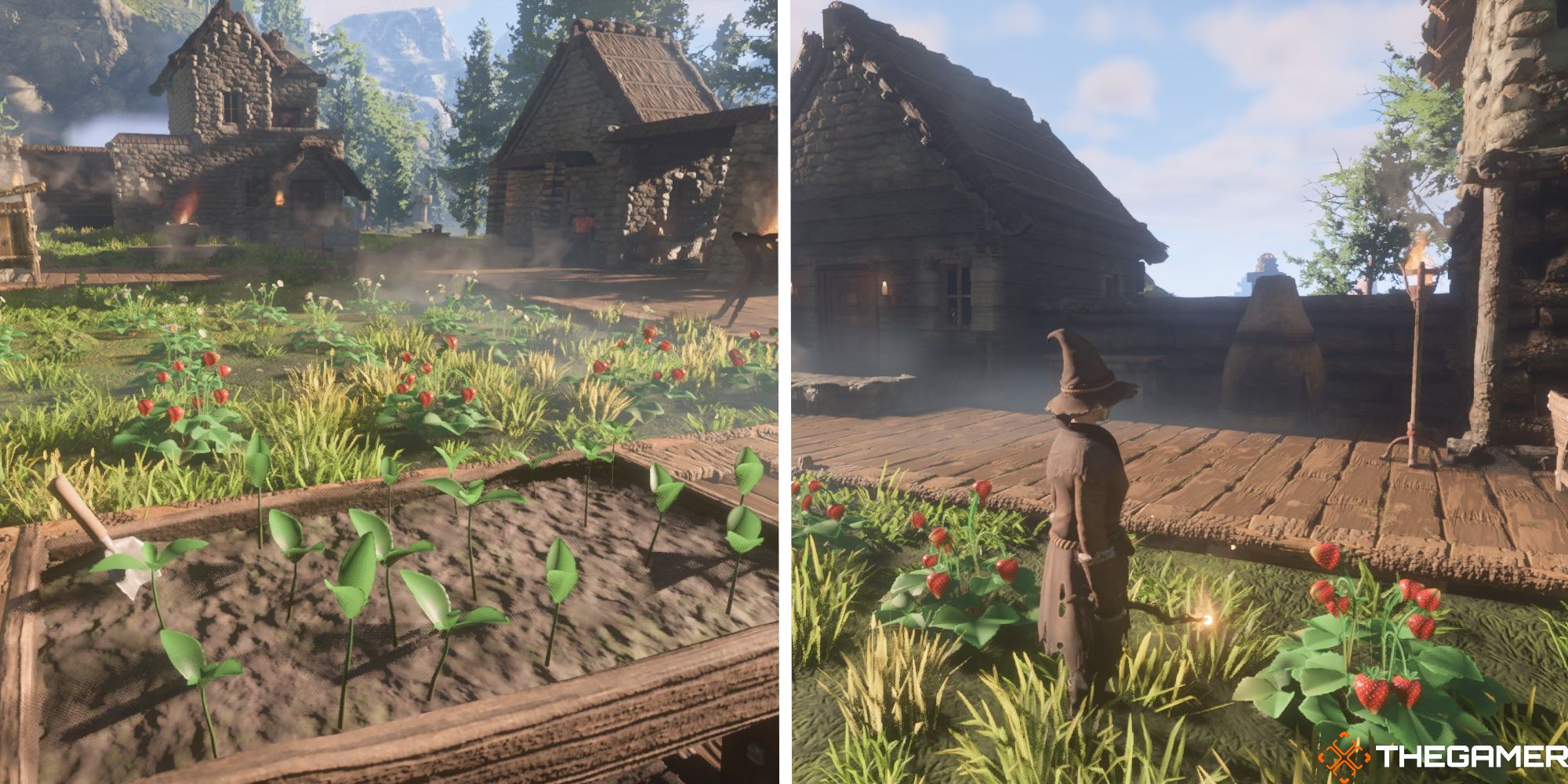 Enshrouded: How To Get Strawberries