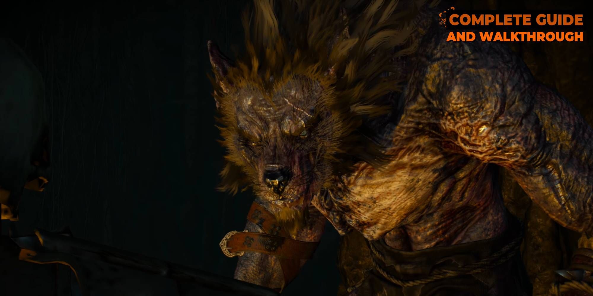 The Witcher 3: In Wolf's Clothing Walkthrough and Possible Rewards