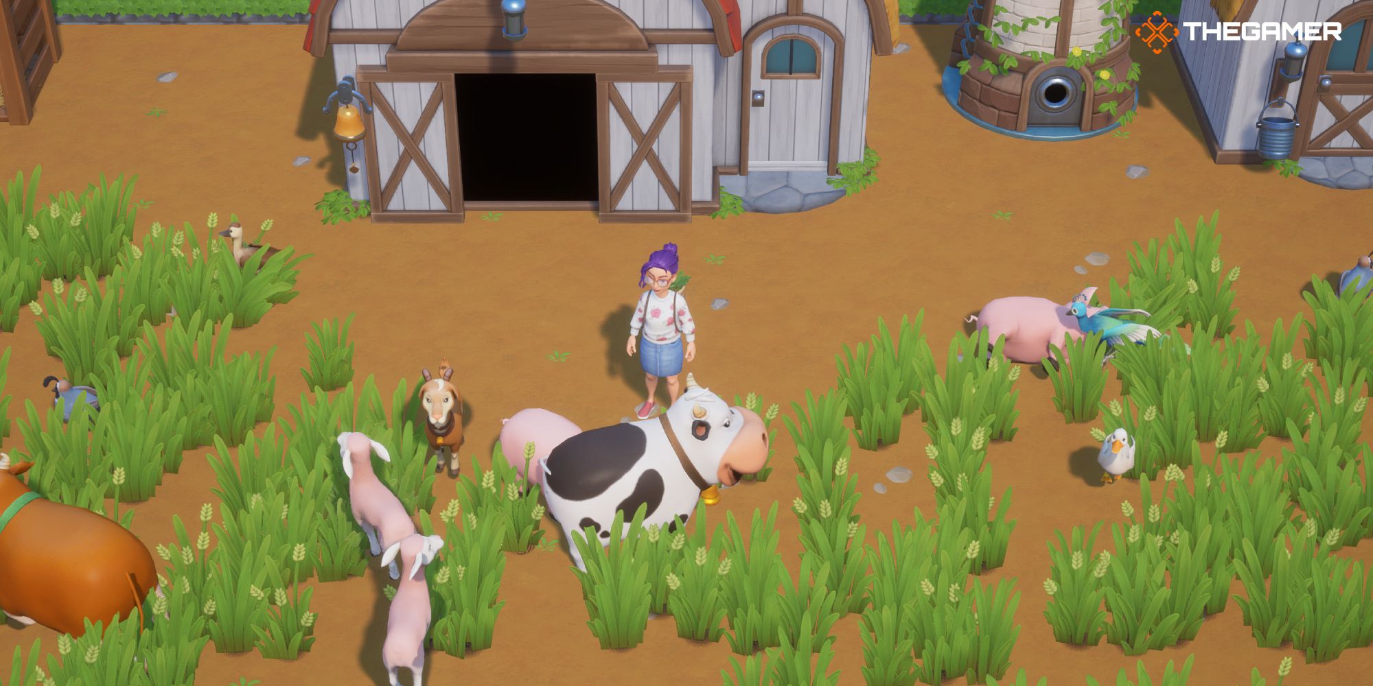 Coral Island: Animal Care Guide