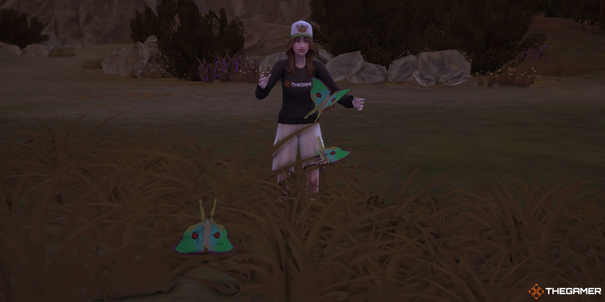 The Sims 4: Outdoor Retreat - Where To Find The Insects