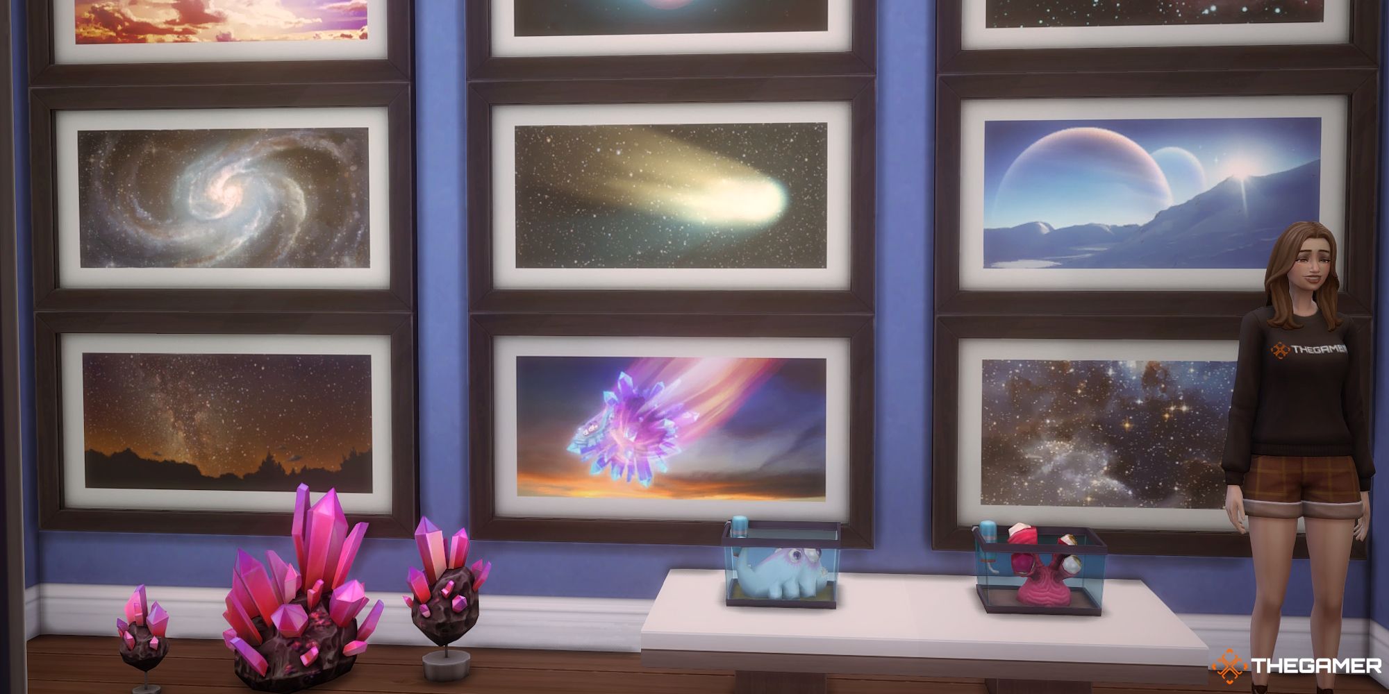 The Sims 4: How To Complete The Space Rocks, Prints And Alien Collections