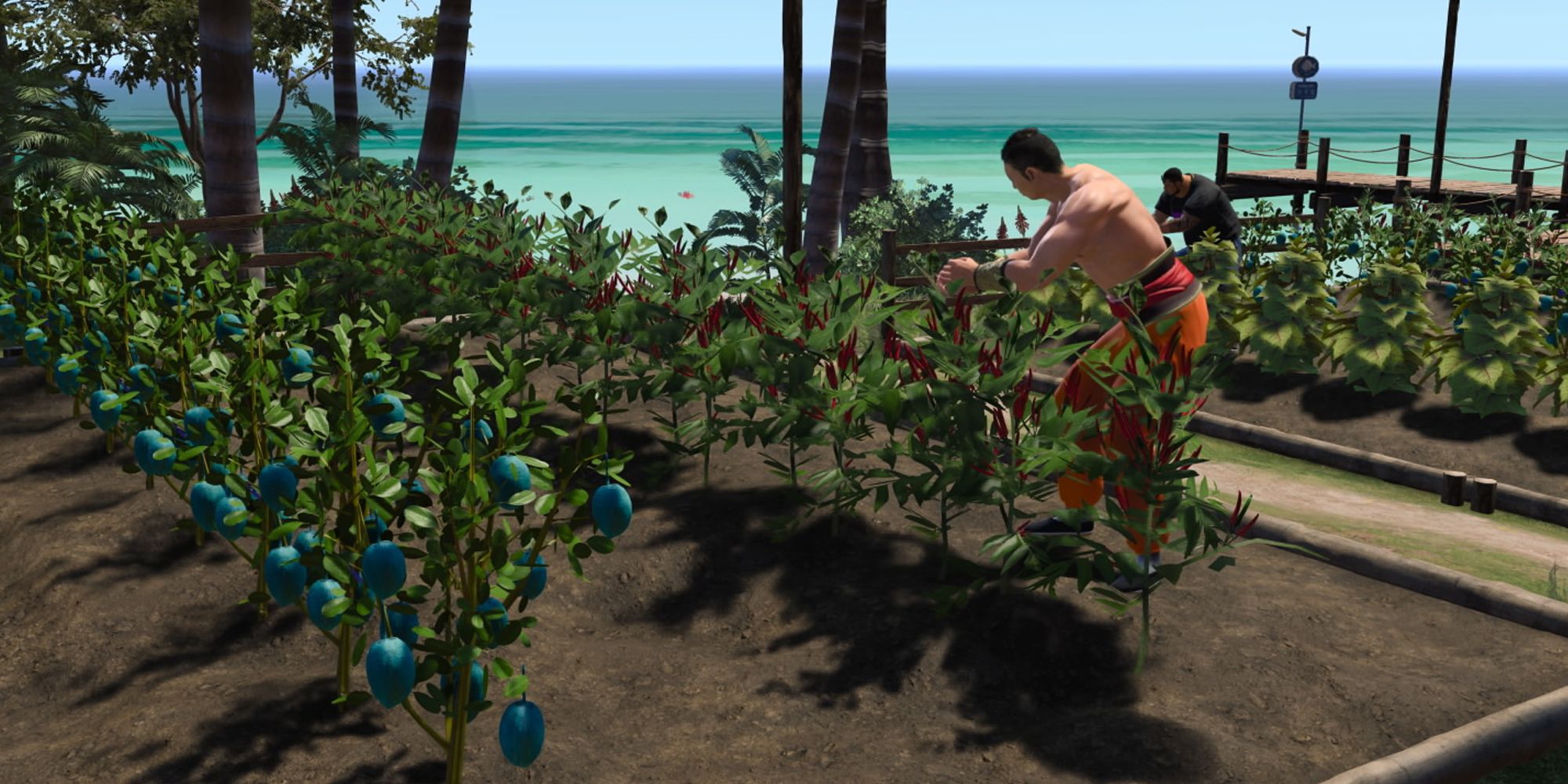 Like A Dragon: Infinite Wealth - Dondoko Island Dokopedia Agricultural Produce Guide