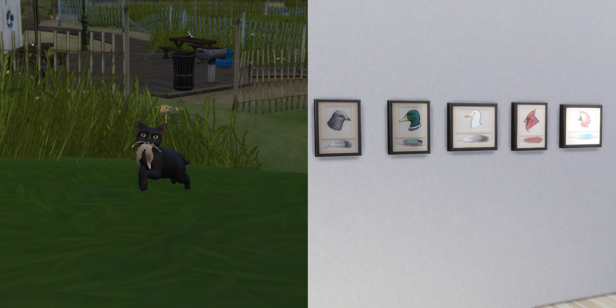 The Sims 4: Cats & Dogs - How To Complete The Feather Collection