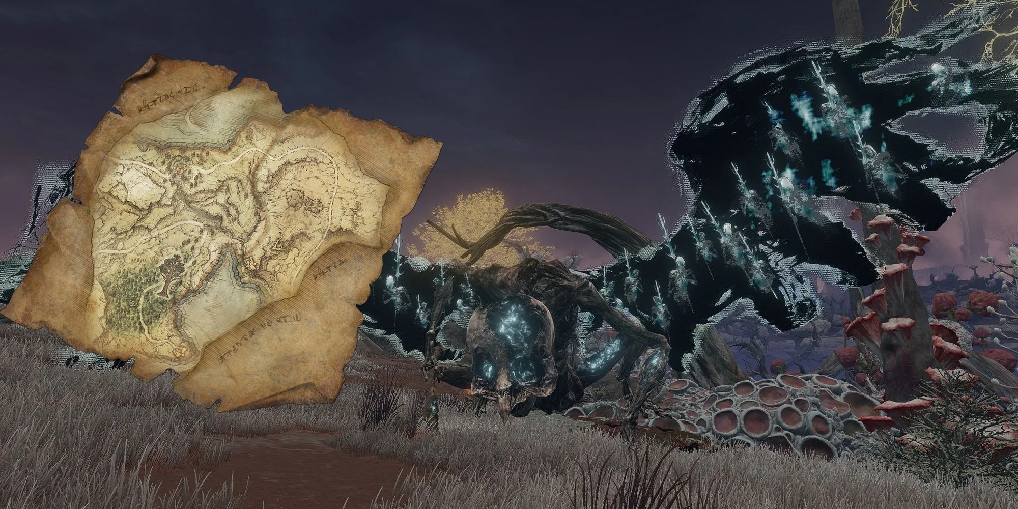 Elden Ring: Every Deathbird Location