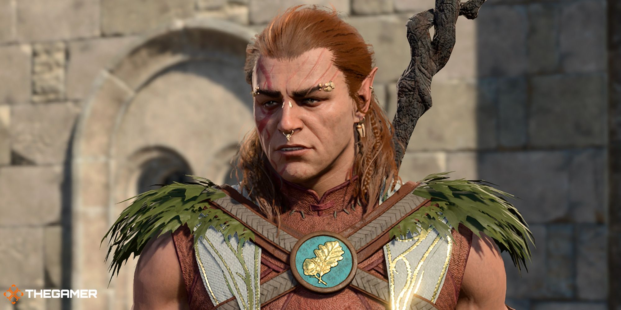 Baldur's Gate 3: Best Builds For Halsin