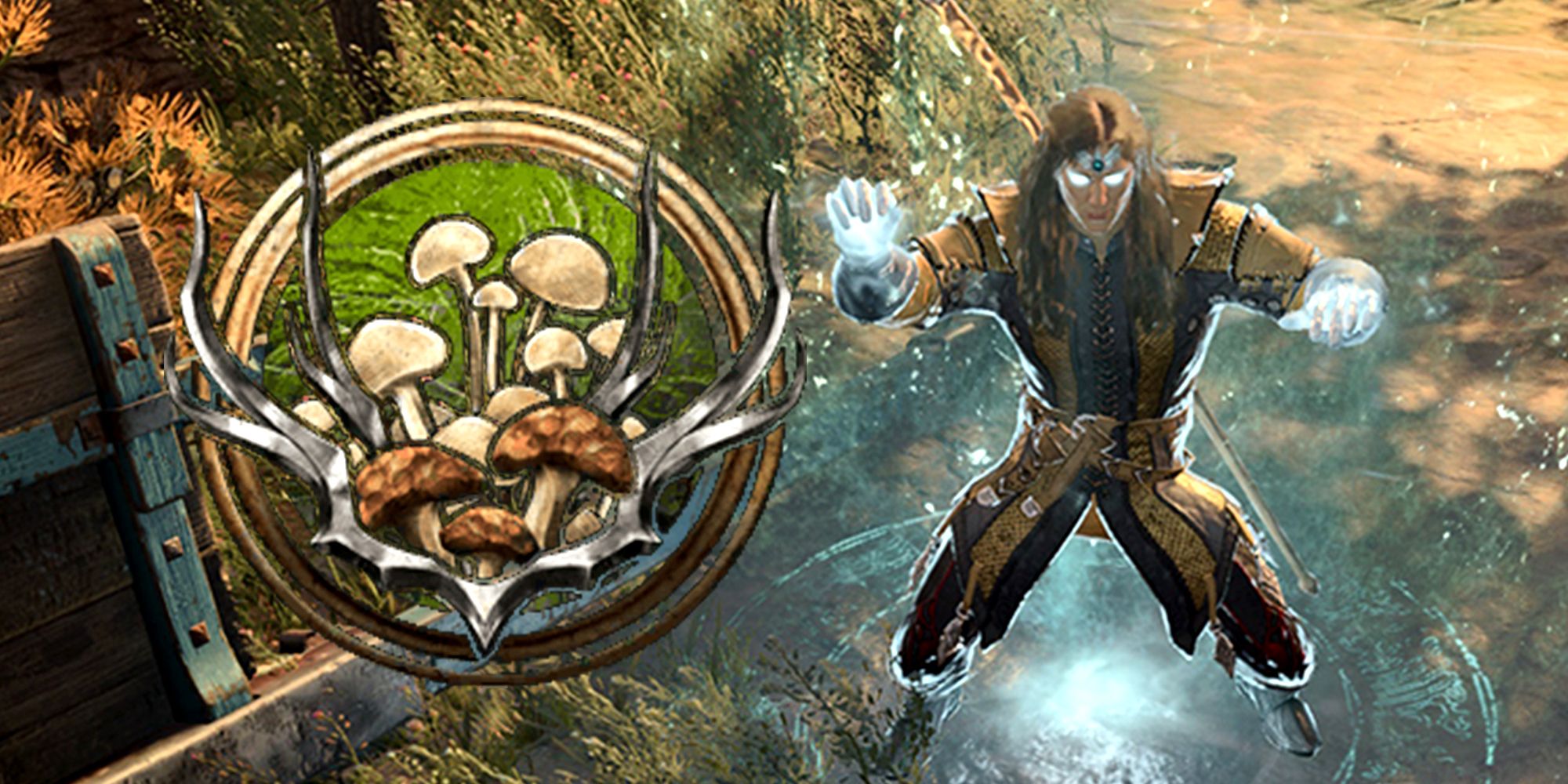 Baldur's Gate 3: Best Circle Of The Spores Druid Build