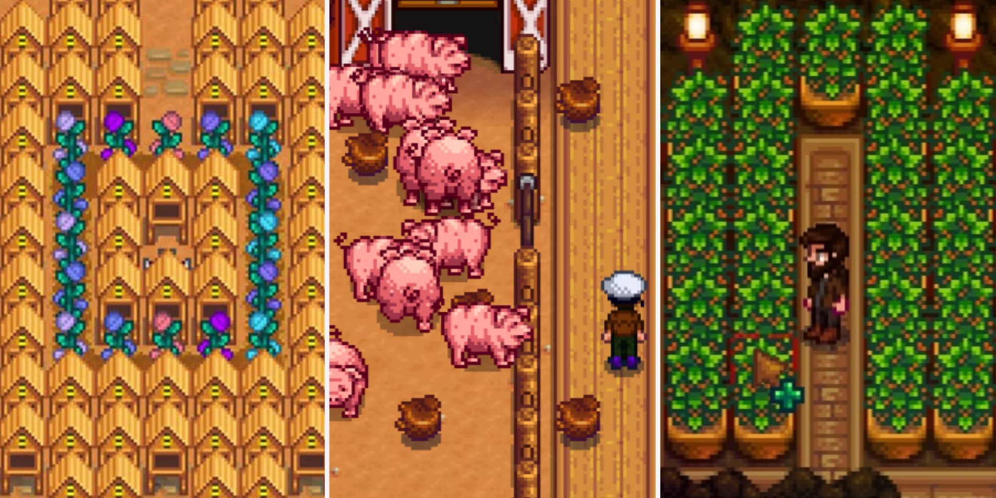 Stardew Valley - The 10 Quickest Ways To Reach A Million Gold