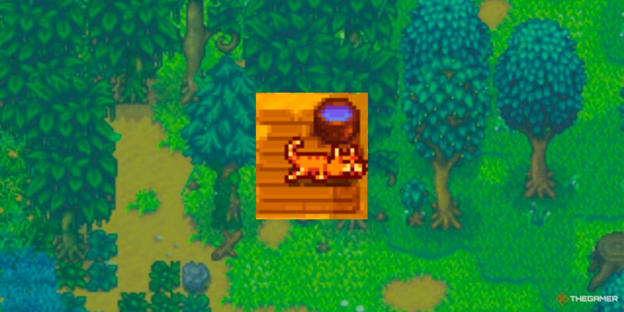 Stardew Valley: How To Buy Pet Furniture