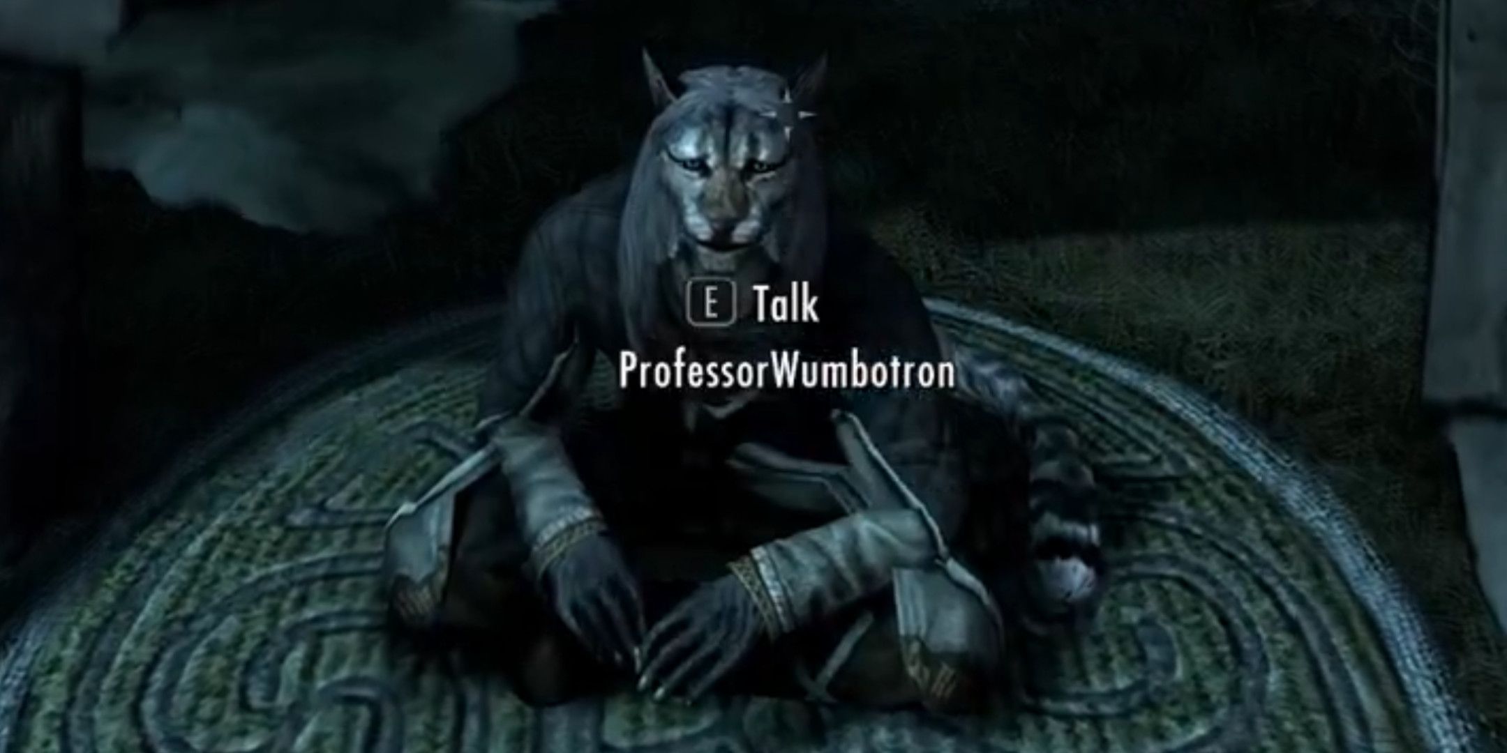 A Skyrim Streamer Is Letting Twitch Chat Voice Characters In Real Time