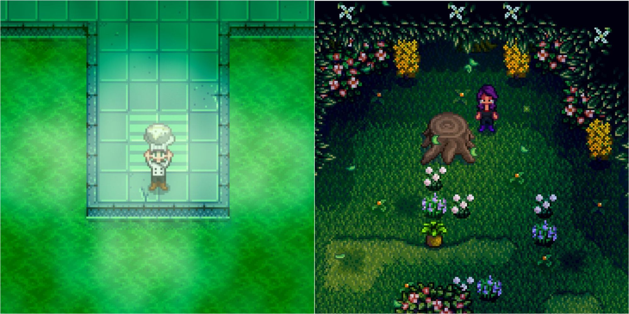 Stardew Valley: Rarest Character Interactions And How To Unlock Them