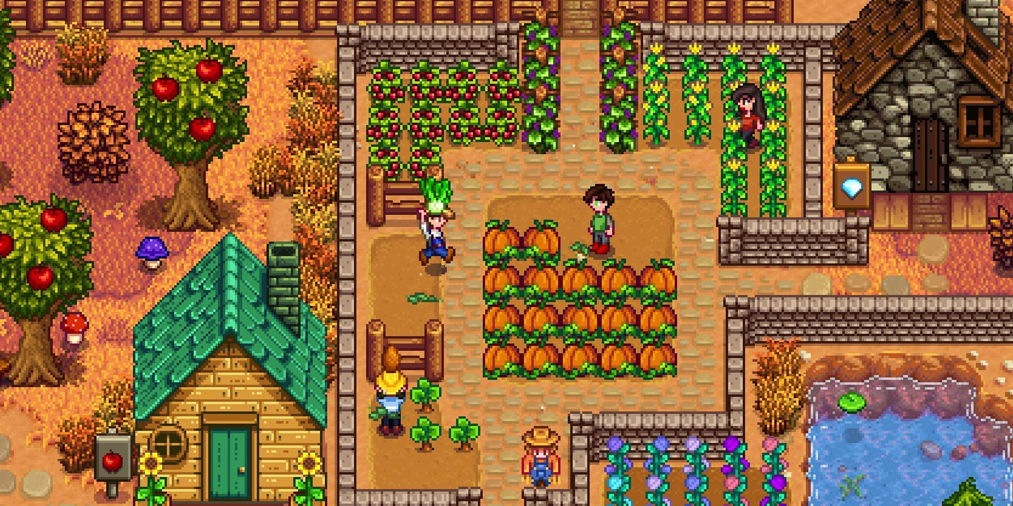 Stardew Valley Fans Harassed After Asking For Pronouns