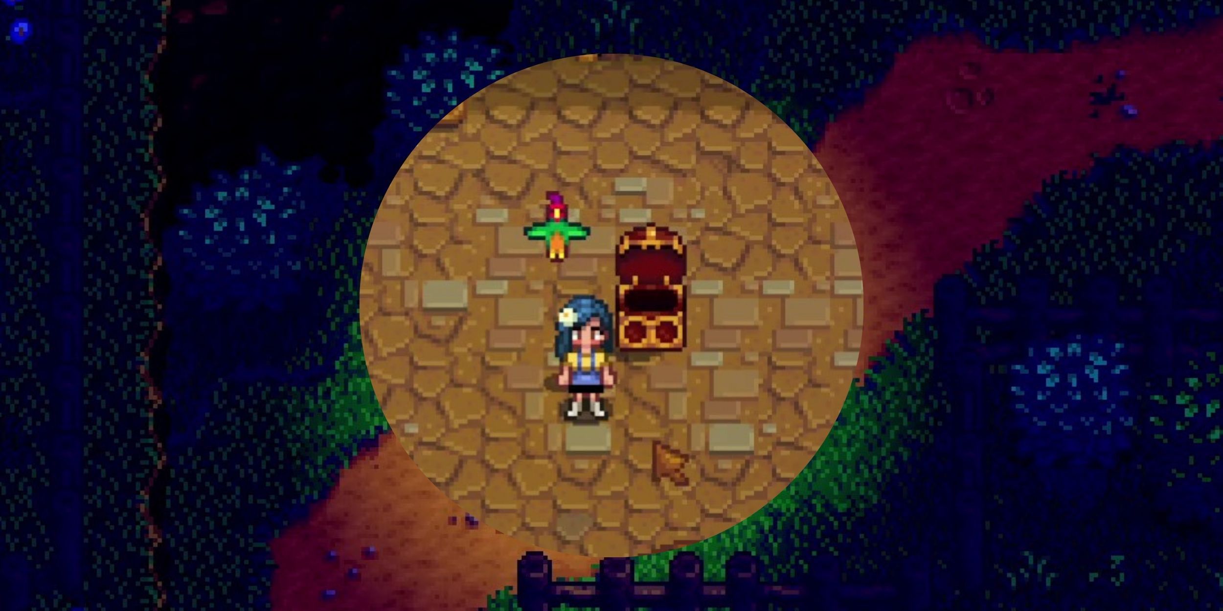 Stardew Valley: How To Get And Use A Parrot Egg