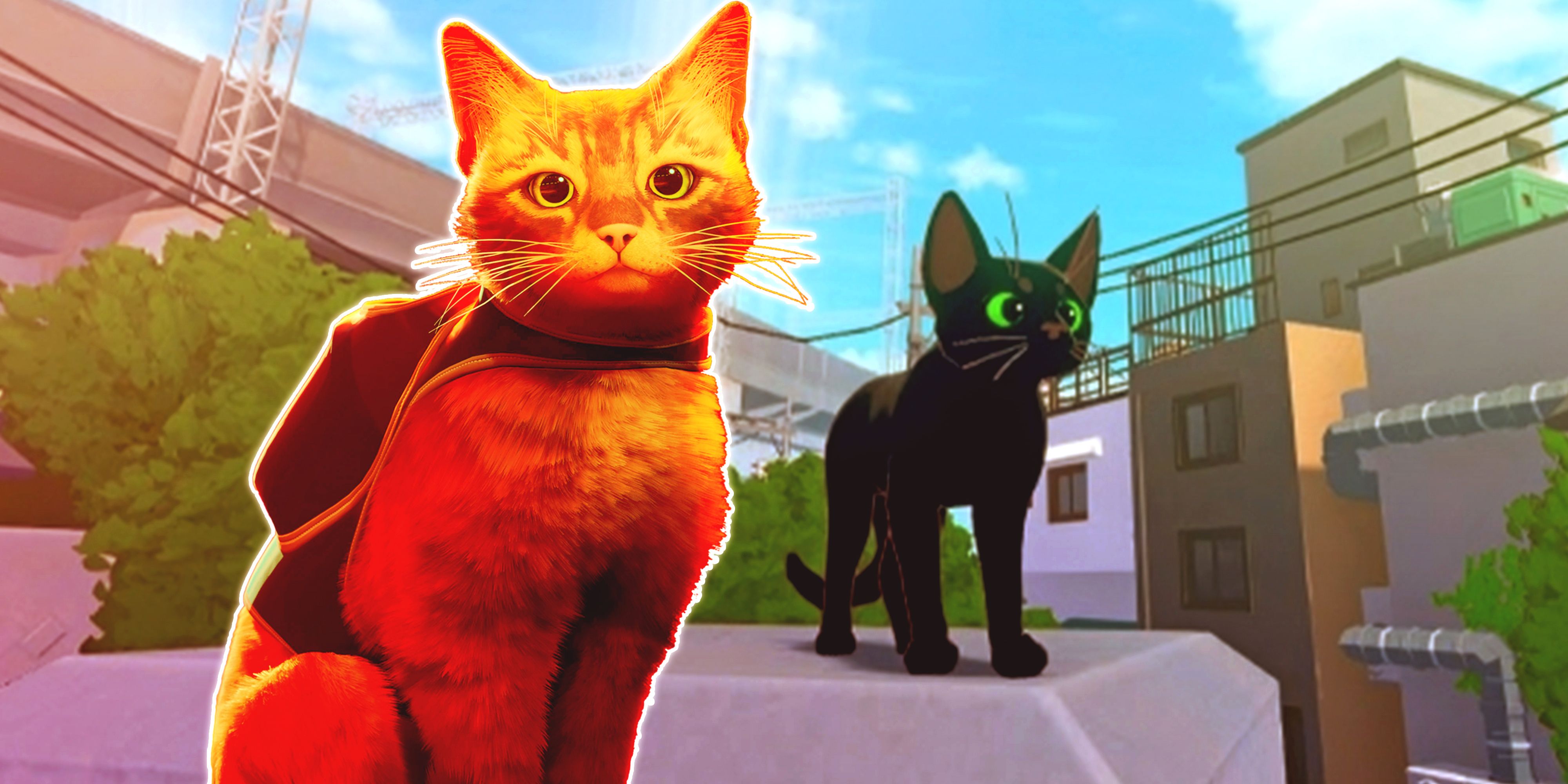 Little Kitty, Big City Is What Stray Should Have Been