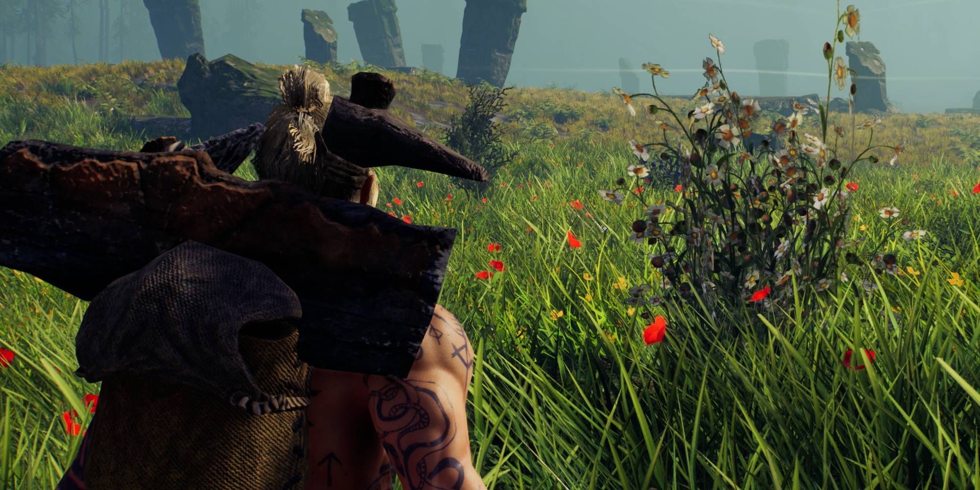 Aska: How To Heal