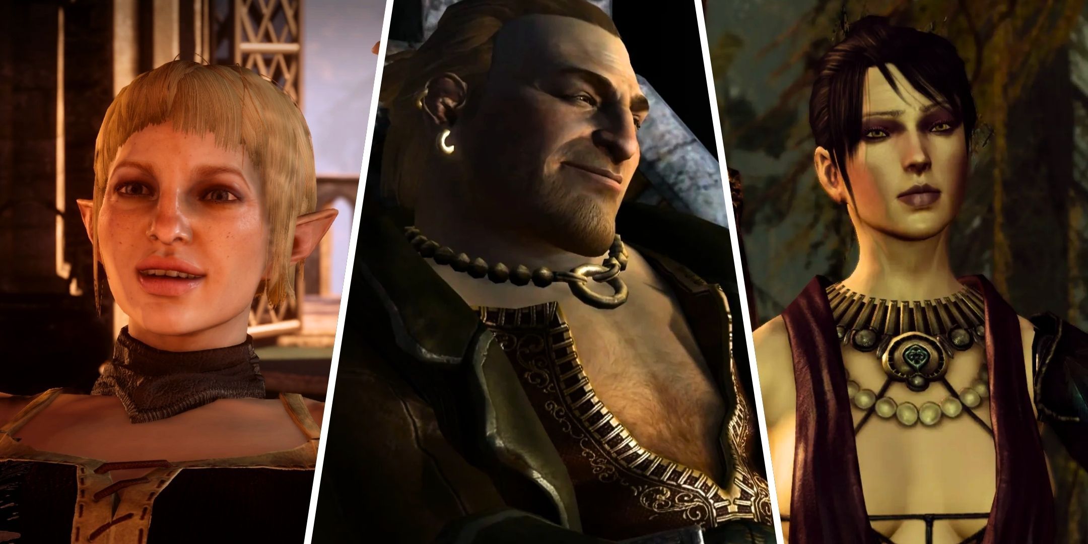 Dragon Age: 9 Funniest Characters In The Series