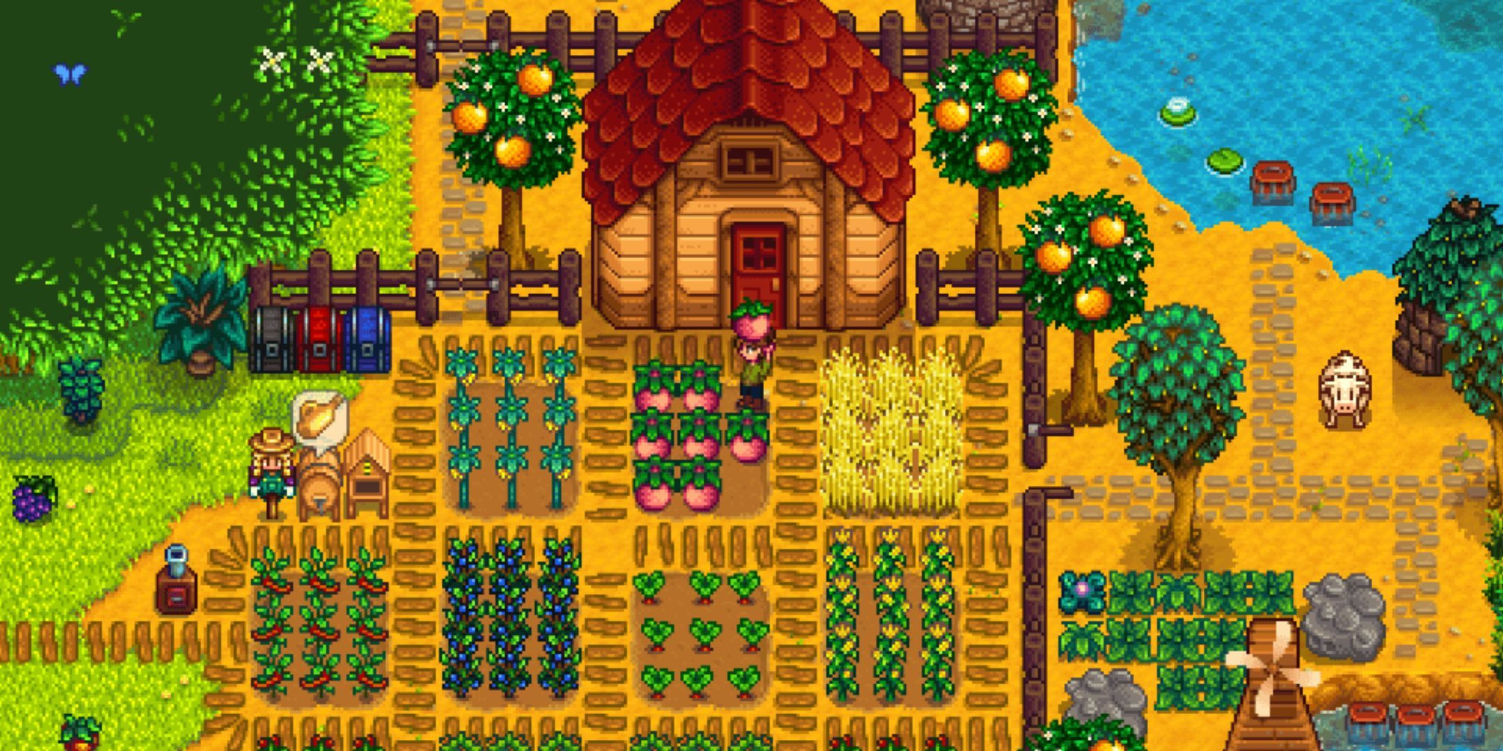 Stardew Valley Players Want Bookshelves To Store Books