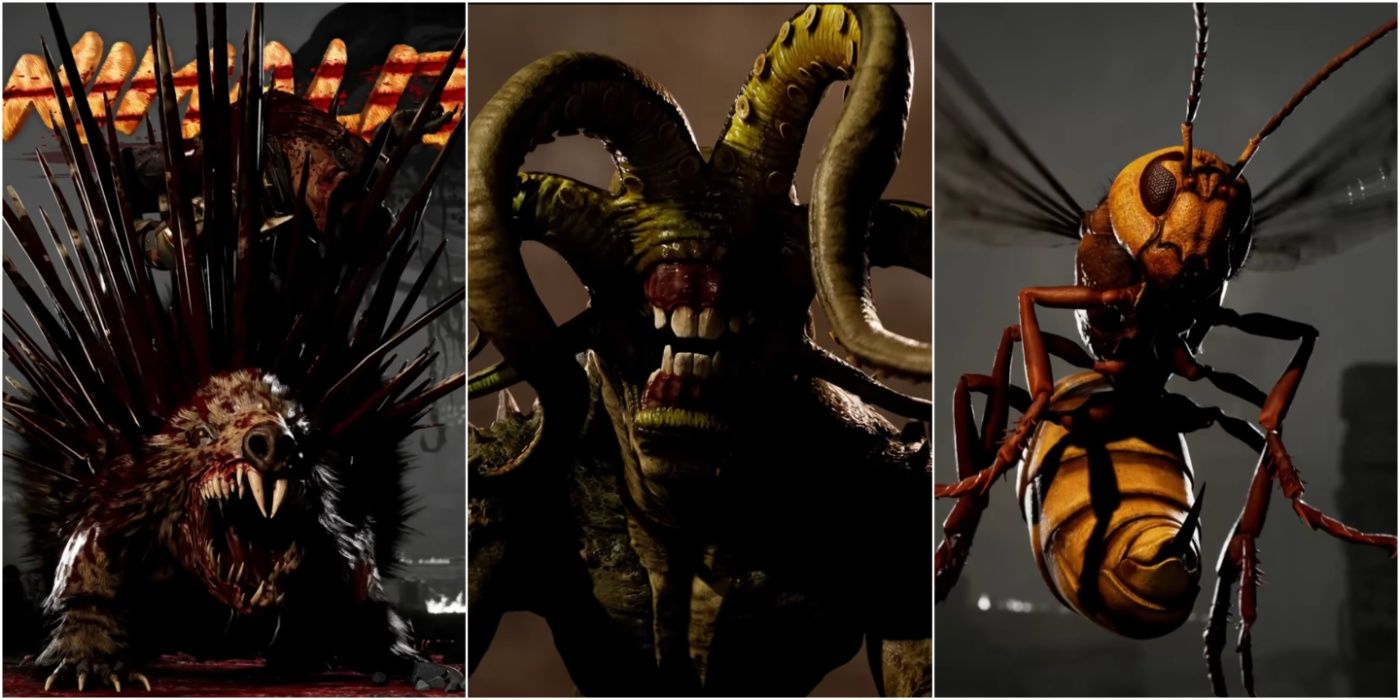 Mortal Kombat 1: The 10 Best Animalities, Ranked