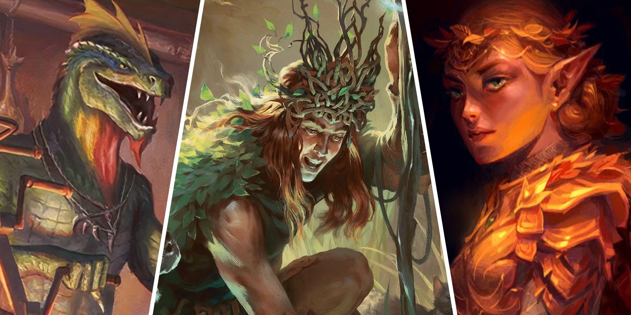 Dungeons & Dragons: Best Species For A Druid