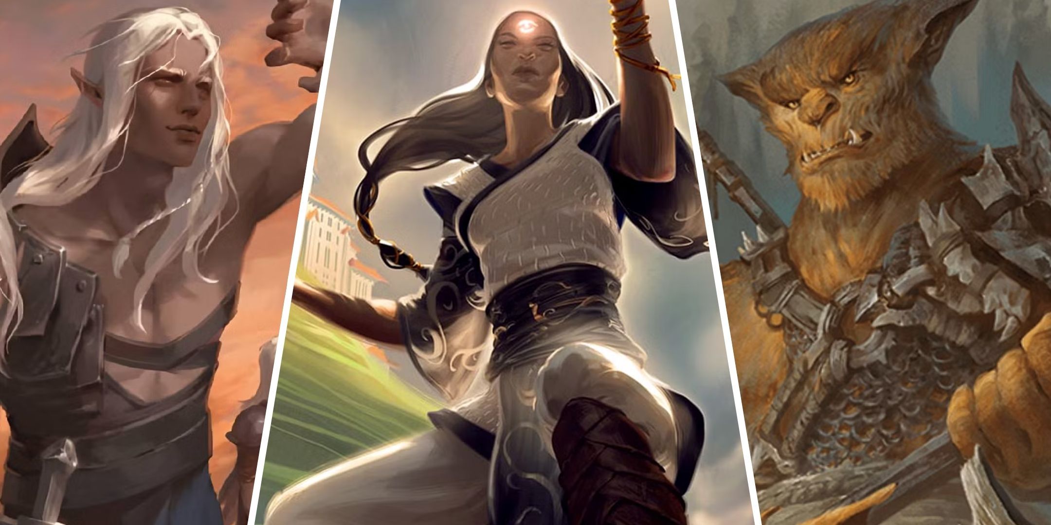 Dungeons & Dragons: Best Species For A Monk