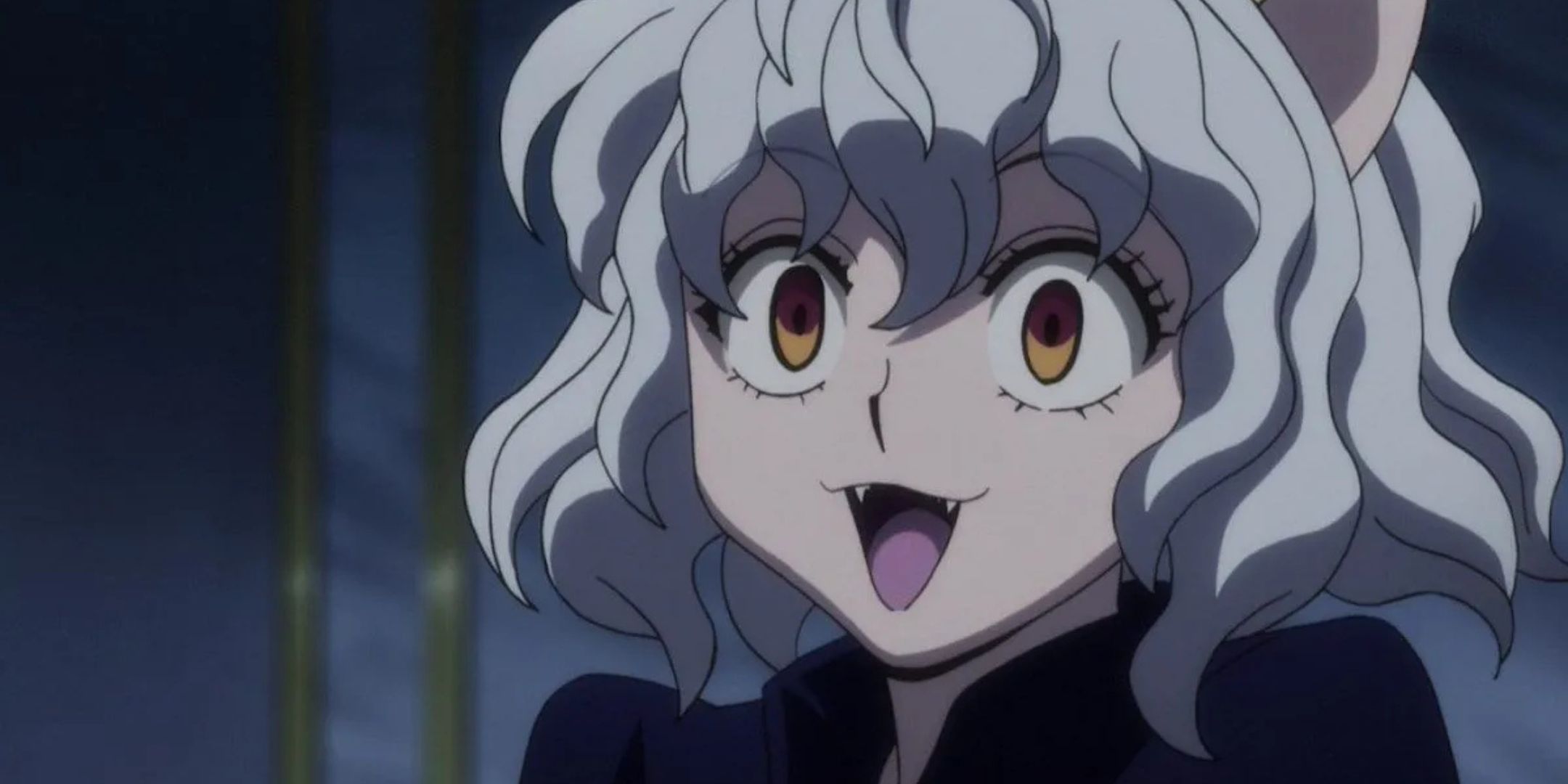 Hunter X Hunter: What Is Neferpitou's Gender?